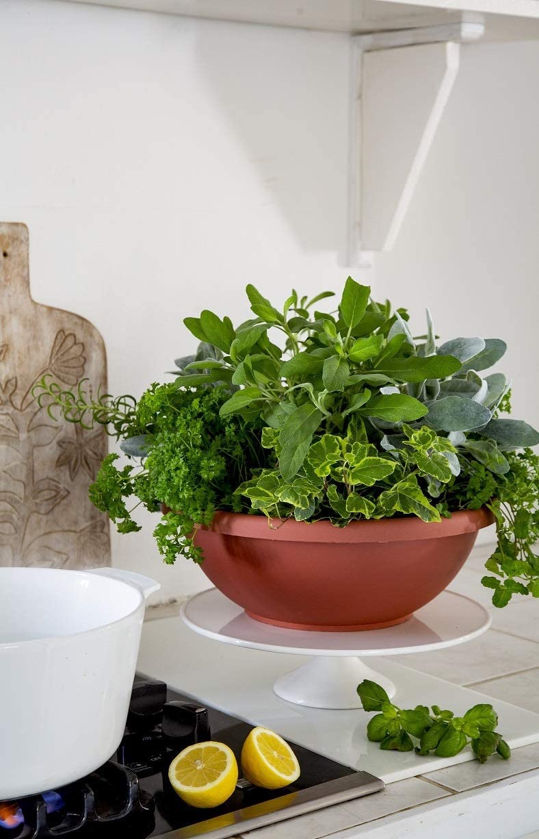 HC Companies 14 Inch Classic Plastic Garden Round Bowl Planter Pot, Chocolate - VMInnovations