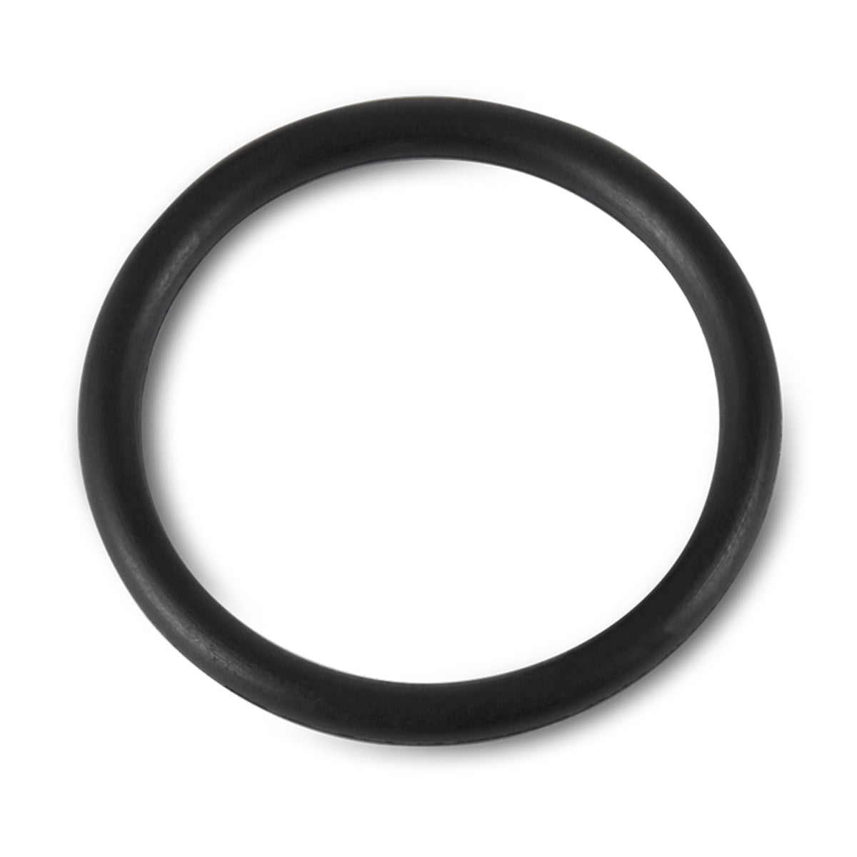 Intex 25003 1500 gal and Below Filter Pump Replacement Seals Pack Parts (6 Pack)