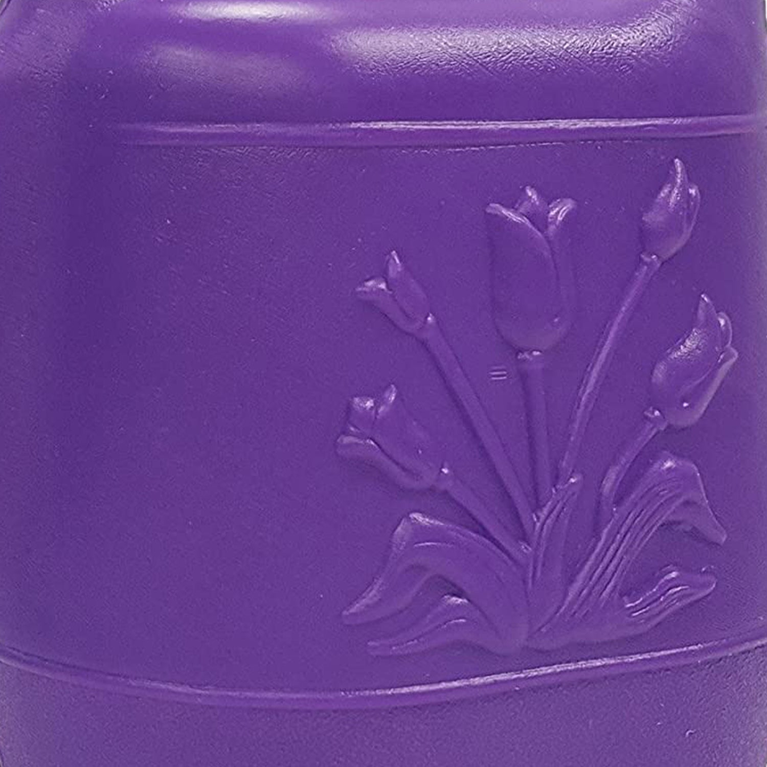 Union Products 63068 Indoor/Outdoor 2 Gallon Plant Watering Can, Purple (2 Pack) - VMInnovations