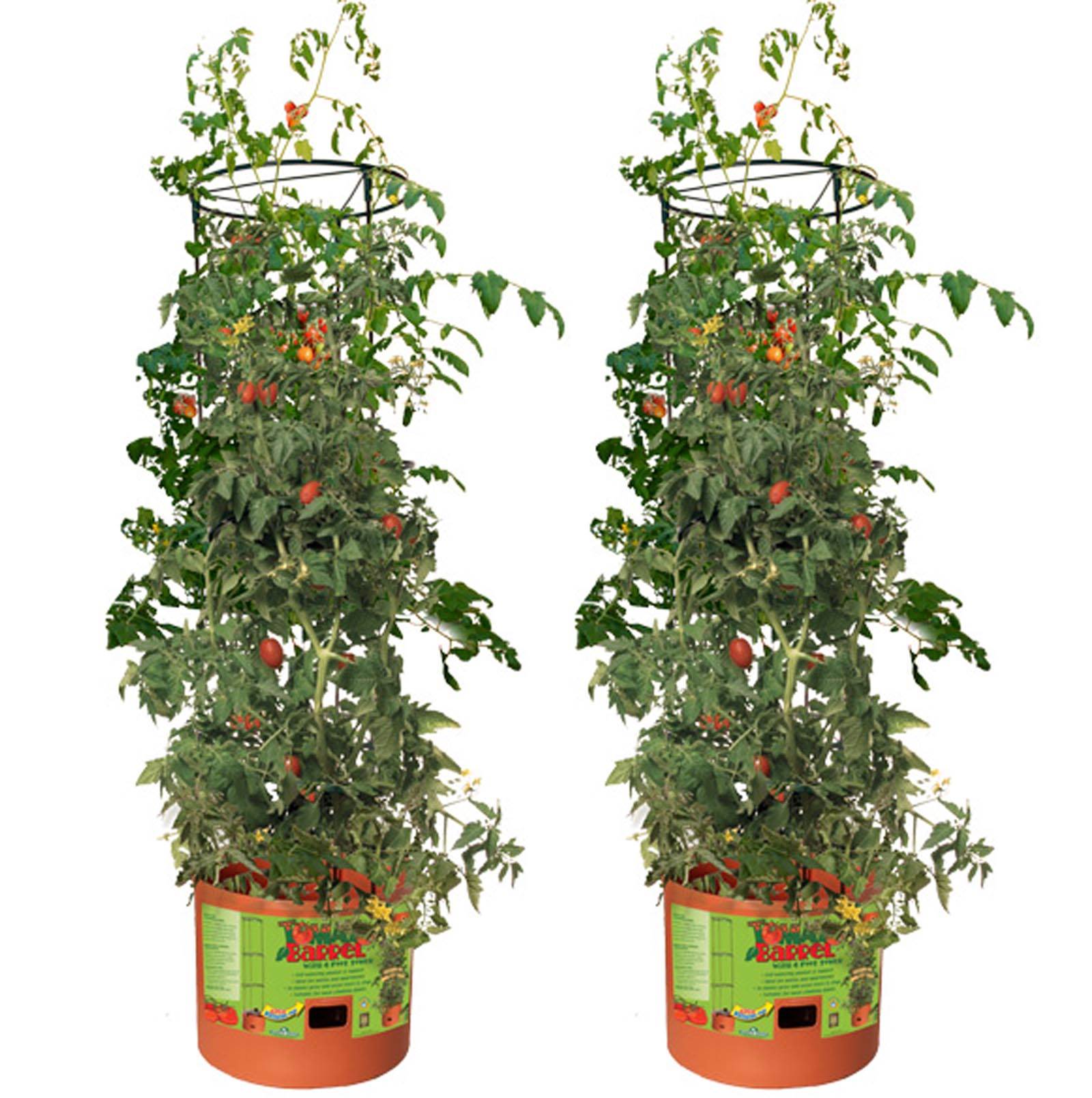 Hydrofarm GCTB Tomato Barrel Pot Garden Planting 4 Foot Trellis System (2 Pack) - VMInnovations