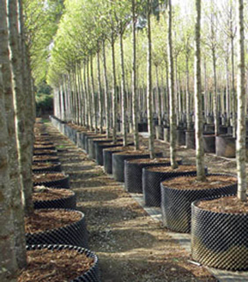 (4) Superoots Air-Pot 15 Gal Equivalent Garden Propagation Pot Plant Containers