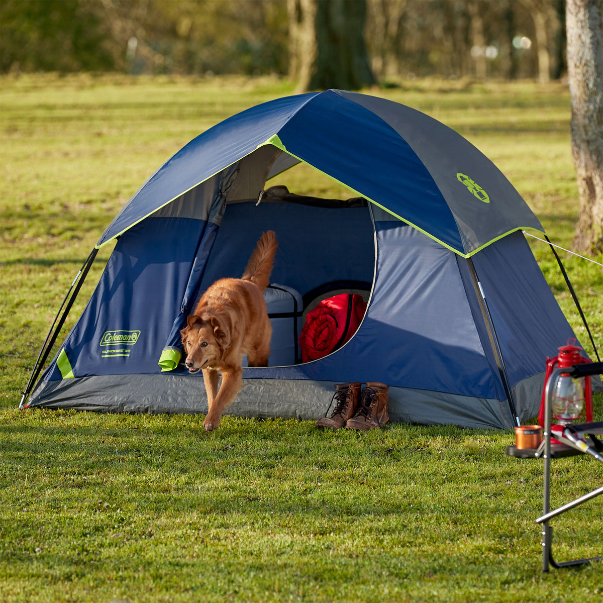 Coleman Sundome 2 Person Hiking & Camping Tent w/ Rainfly Awning (Open Box)