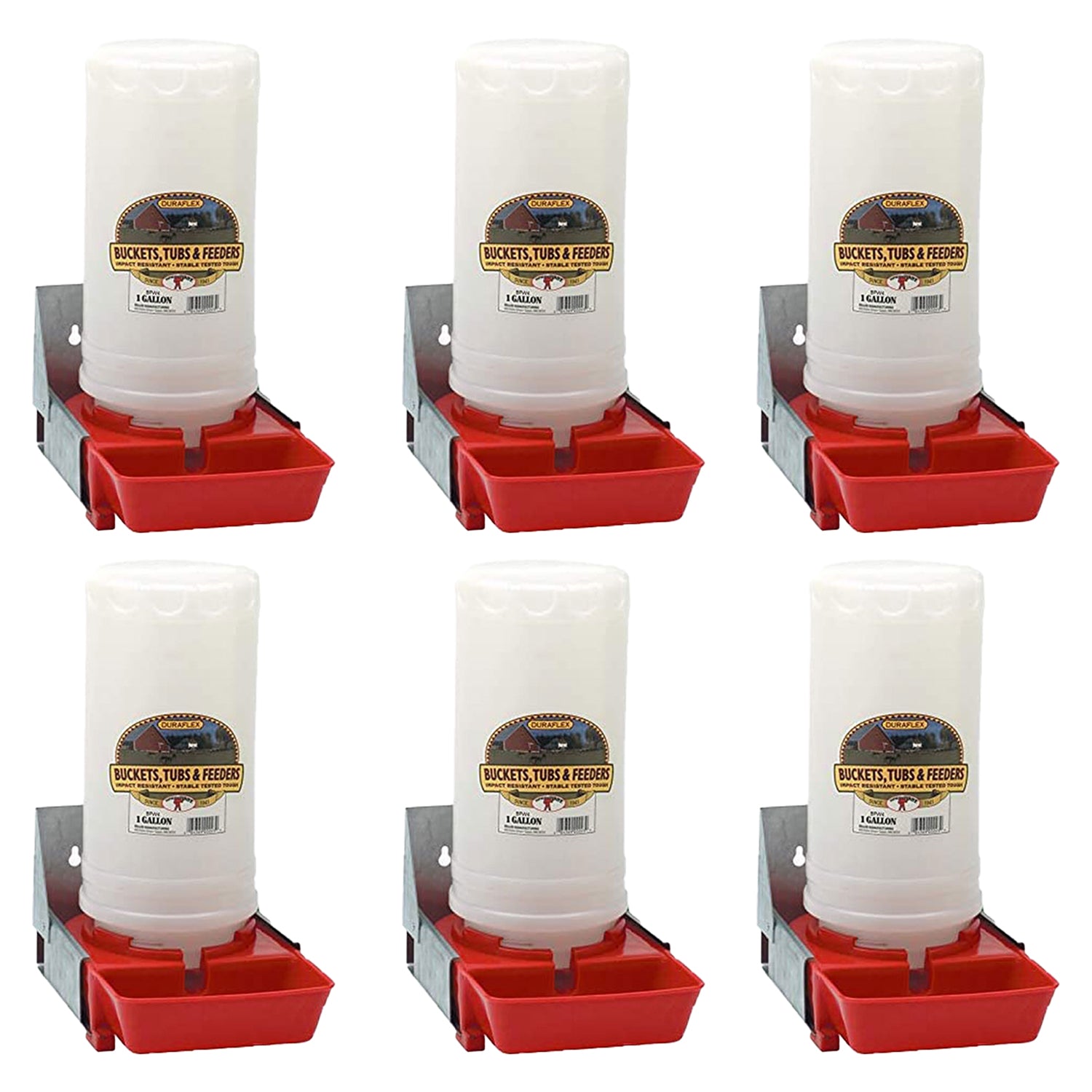 Little Giant 1-Gallon Impact Translucent Polyethylene Piglet Waterer (6 Pack) - VMInnovations
