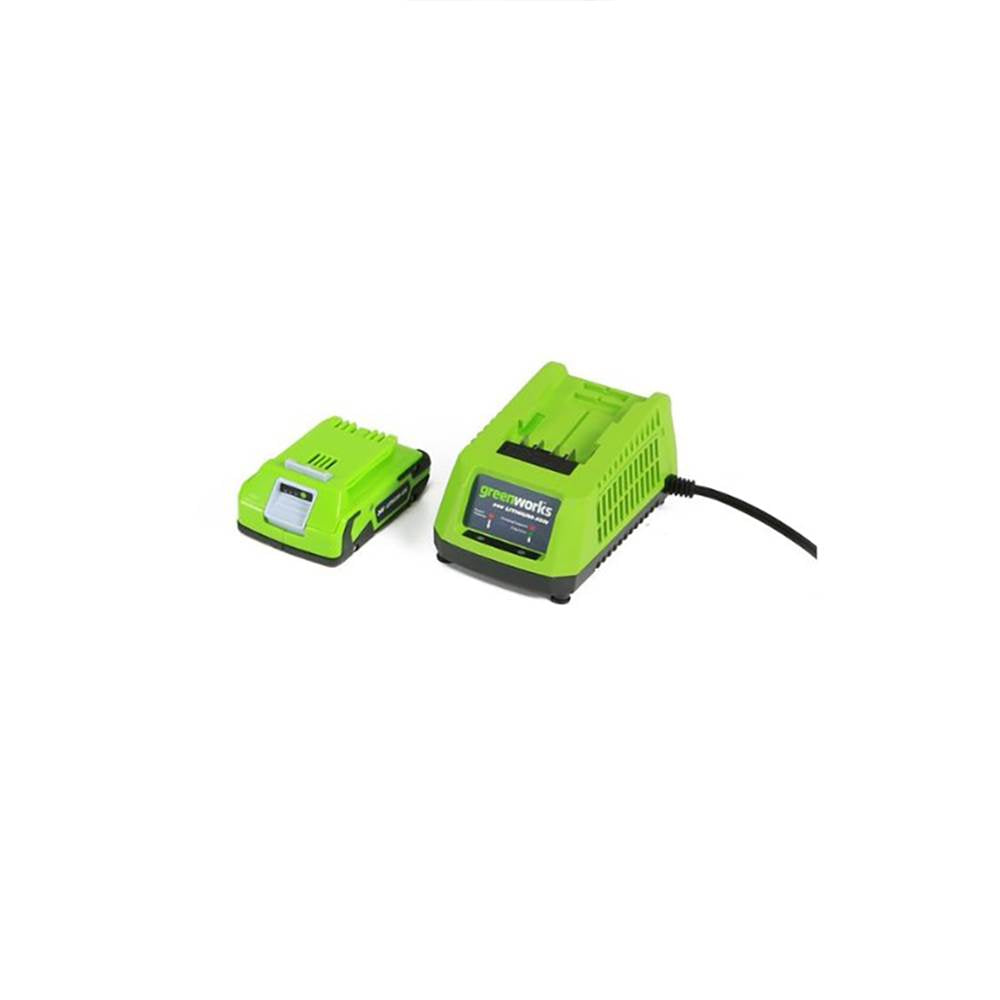 Greenworks 24-Volt 8-Inch Bar Chain Pole Saw + Battery and Charger (Open Box)