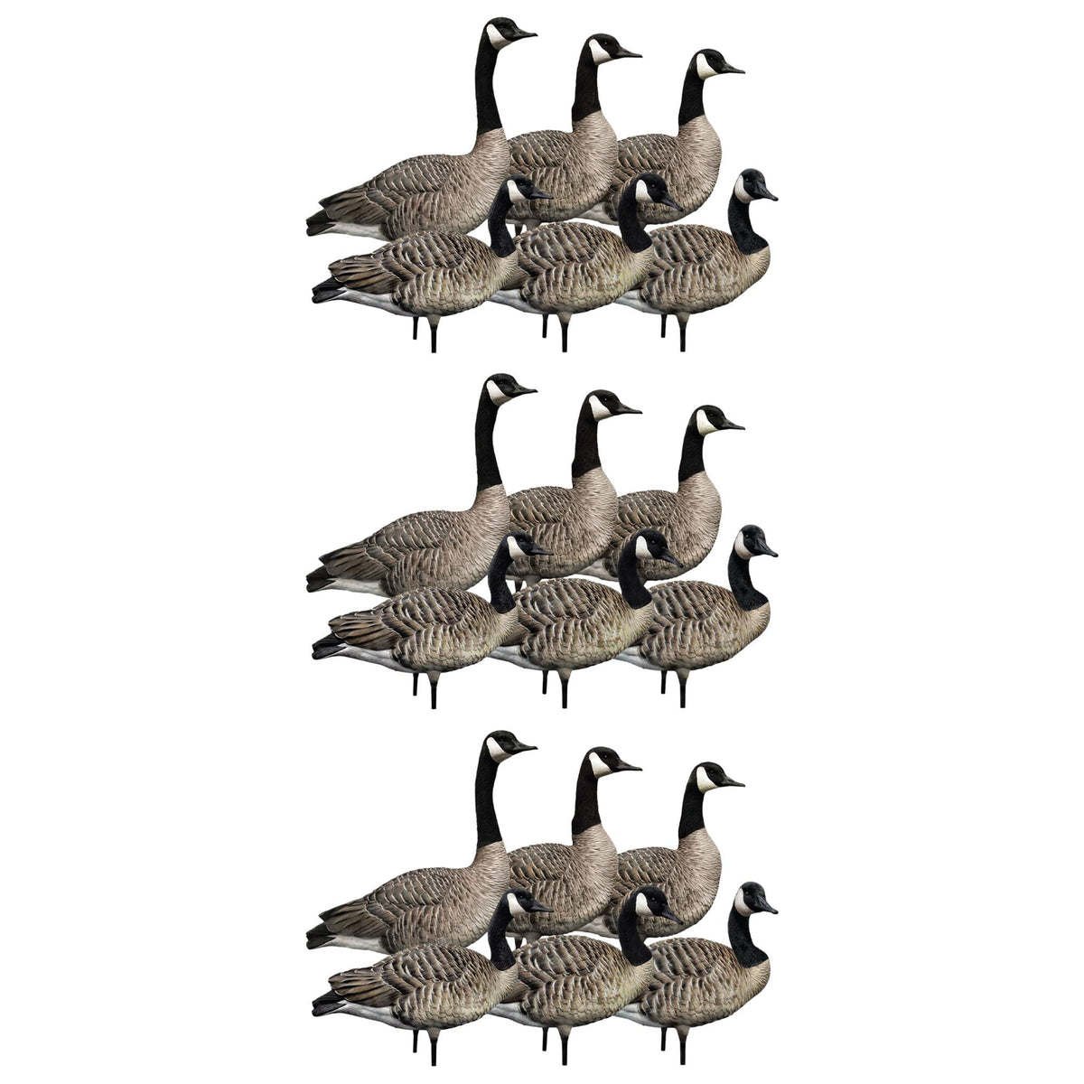 Avian X AXP 6 Piece Honker Sentry Walker Realistic Goose Hunting Decoy, 3 Pack