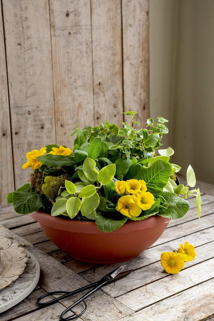 HC Companies 14 Inch Classic Plastic Garden Round Bowl Planter Pot, Chocolate - VMInnovations
