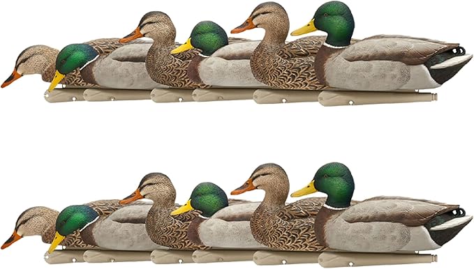 Avian X Topflight Realistic Floating Rugged Fusion Mallard Decoy Set, 12 Pack