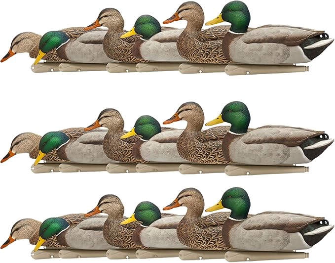 Avian X Topflight Realistic Floating Rugged Fusion Mallard Decoy Set, 18 Pack