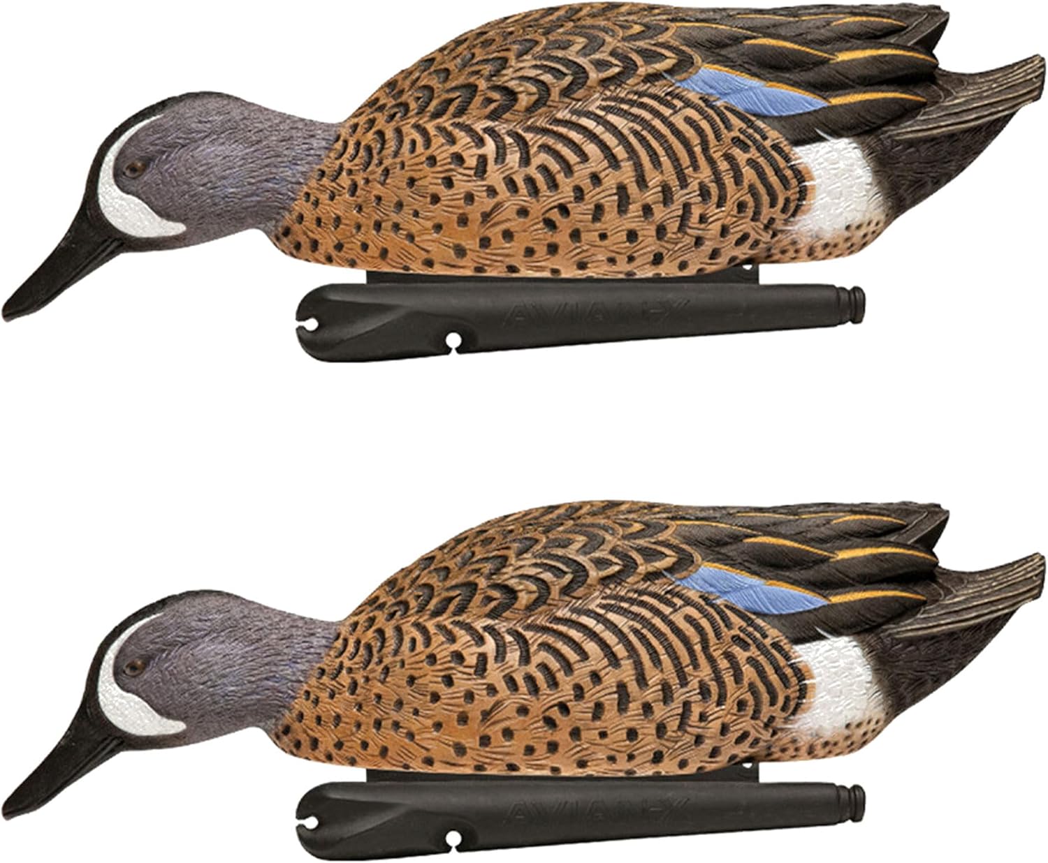 Avian X Topflight Blue-Winged Teal Duck, Realistic Floating Duck Decoy, Set of 2