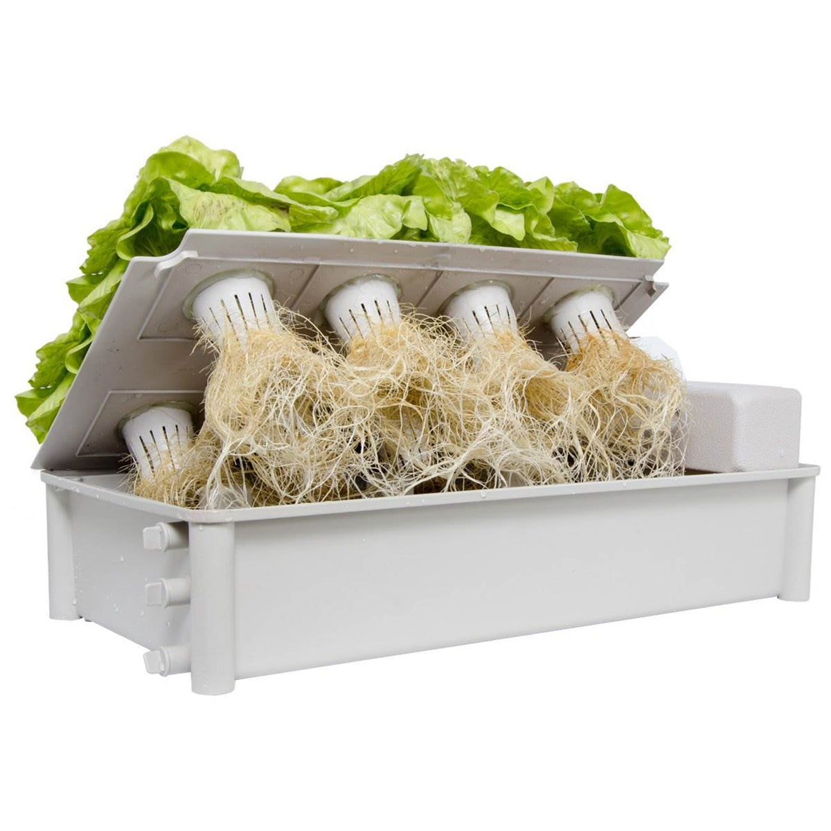 Hydrofarm Hydroponic Soil-Free Salad Greens Box Garden Growing Kit (Open Box)