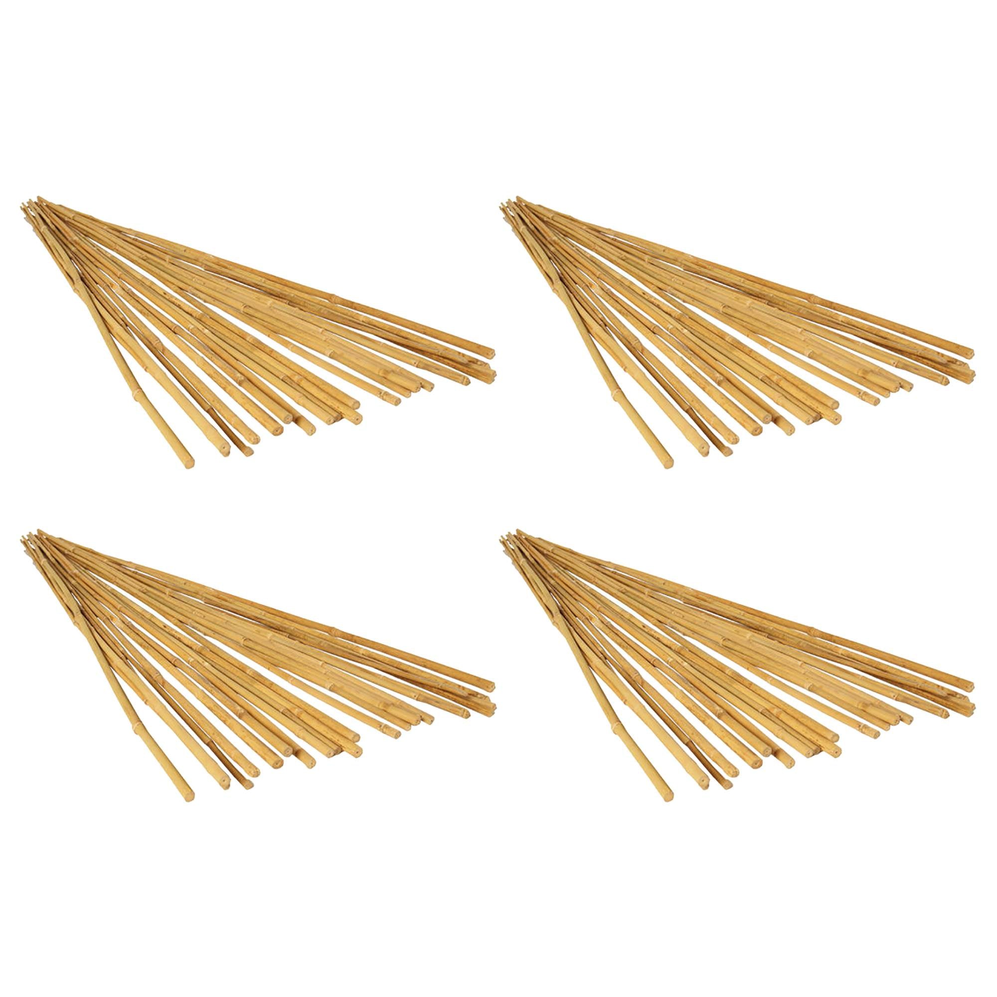 Hydrofarm 4-Foot High Strength Natural Finish Bamboo Stakes (100 Stakes) | HGBB4
