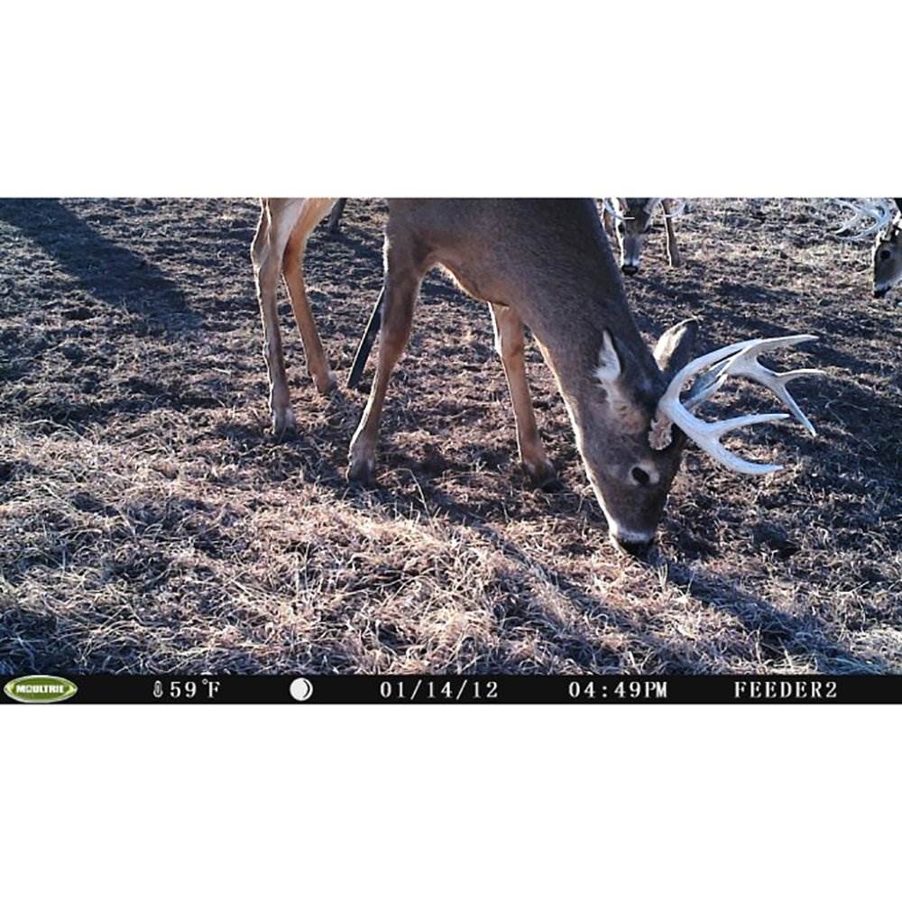 Moultrie I-35 4.0MP 50-Foot Game Trail Camera, 10 Pack (Certified Refurbished)