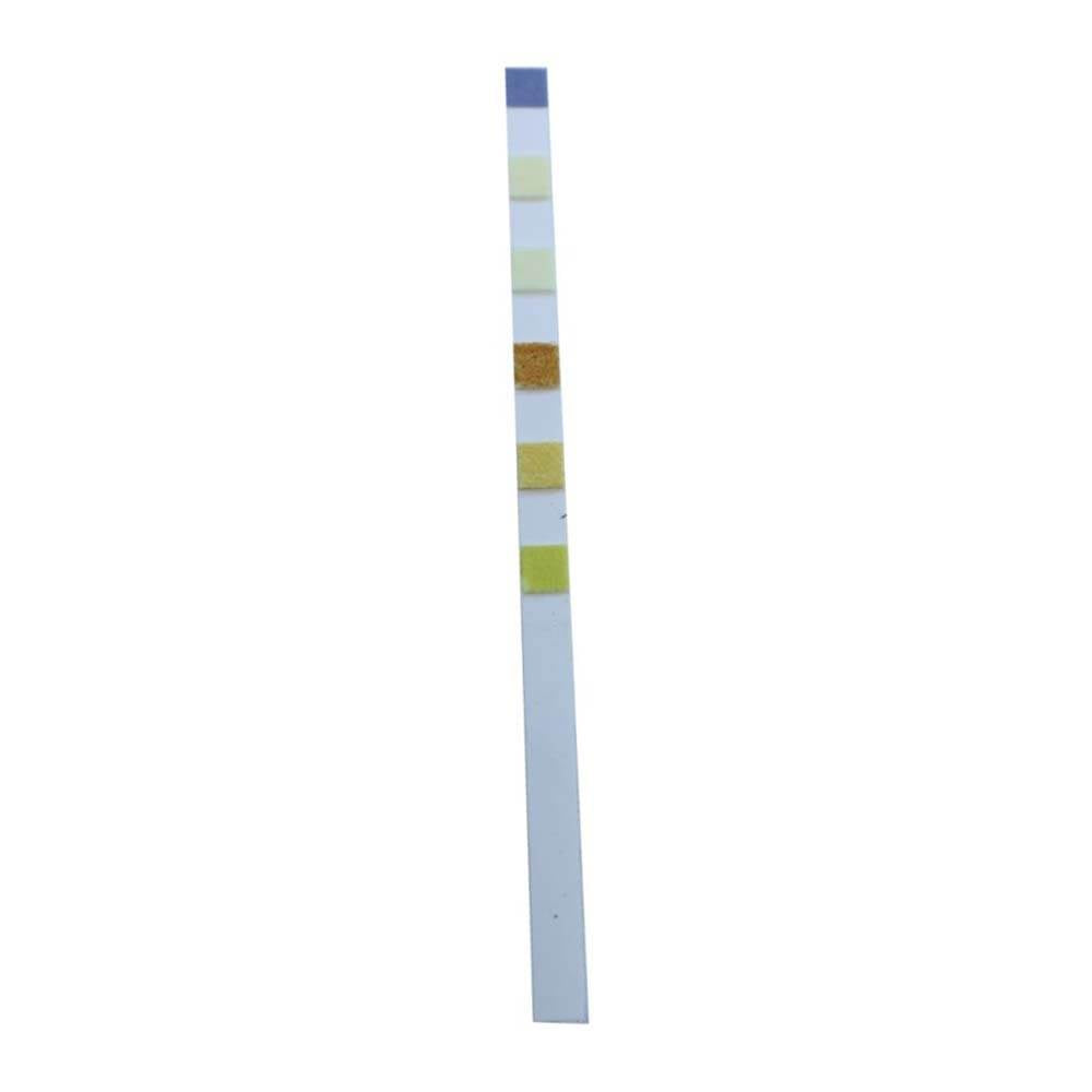 Taylor Swimming Pool Chlorine/Bromine Kit + 100 Count Chlorine/pH Test Strips