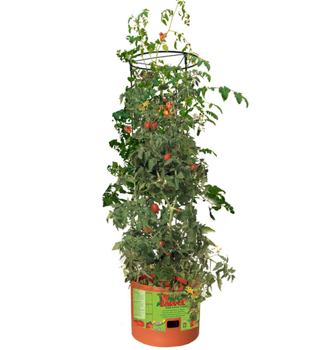 Hydrofarm GCTB Tomato Barrel Pot Garden Planting System and 4 Foot Trellis Tower - VMInnovations