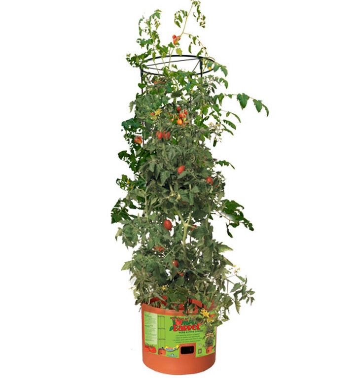 Hydrofarm GCTB Tomato Barrel Pot Garden Planting System and 4 Foot Trellis Tower - VMInnovations