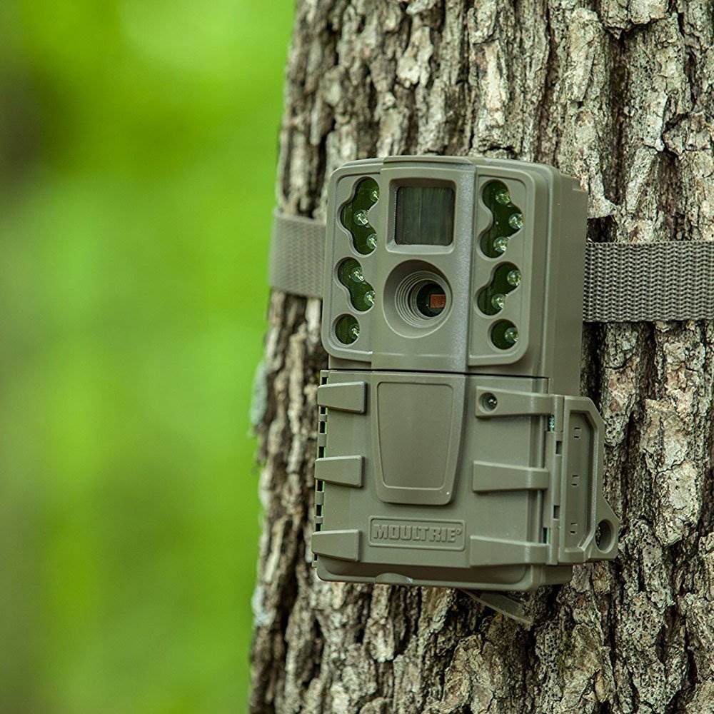 Moultrie A20 12MP Long Range Low Glow Infrared Hunting Game Trail Camera, 2 Pack
