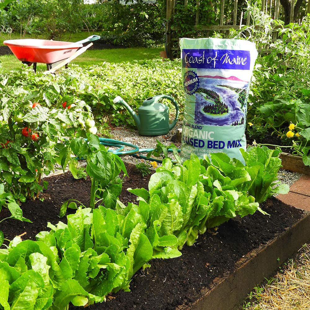 Coast of Maine Castine Blend Raised Bed Gardening Soil Mix, 1 Cu Ft (2 Pack) - VMInnovations