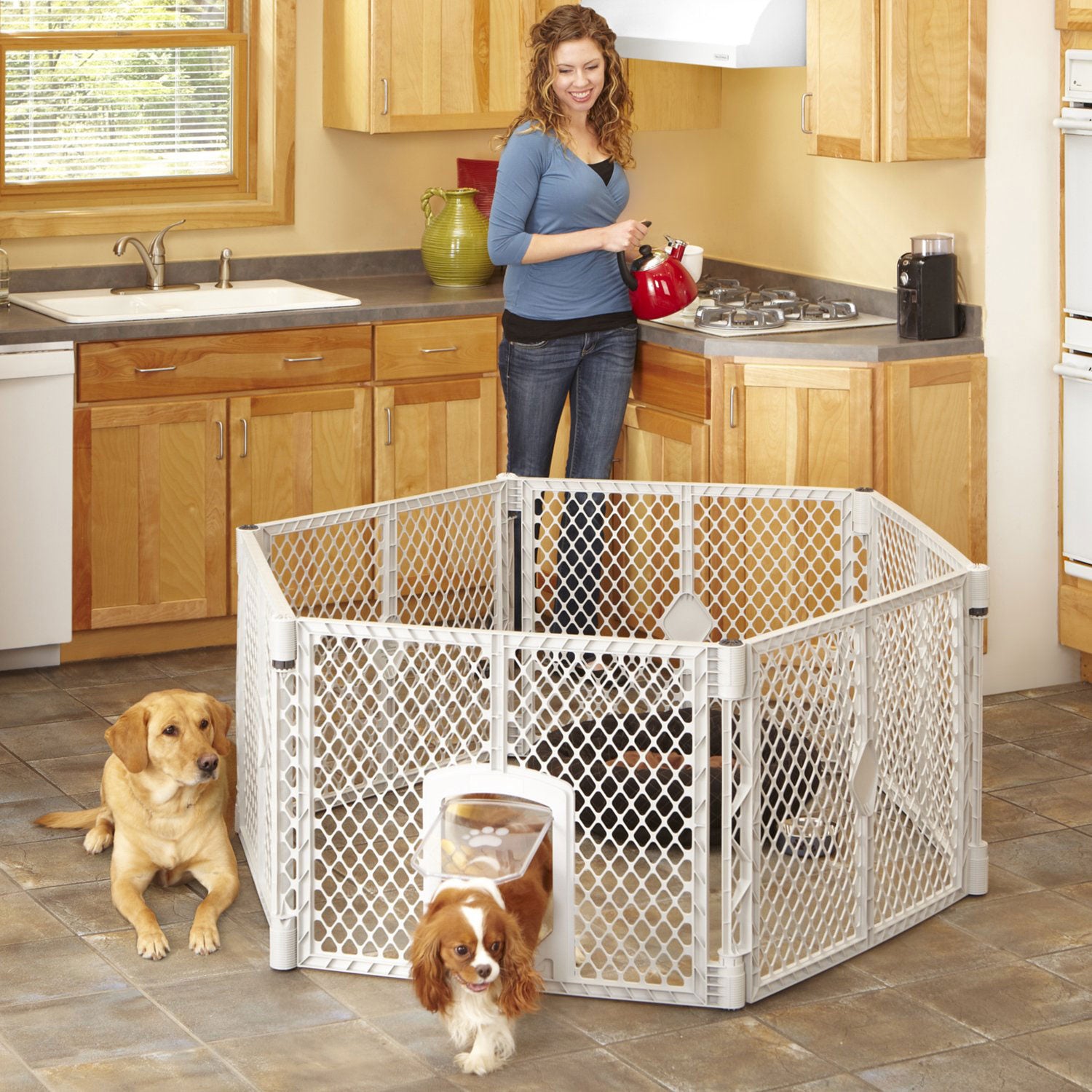 North States MyPet 150643 18.5 Square Foot Petyard Passage 6 Panel Pet Enclosure