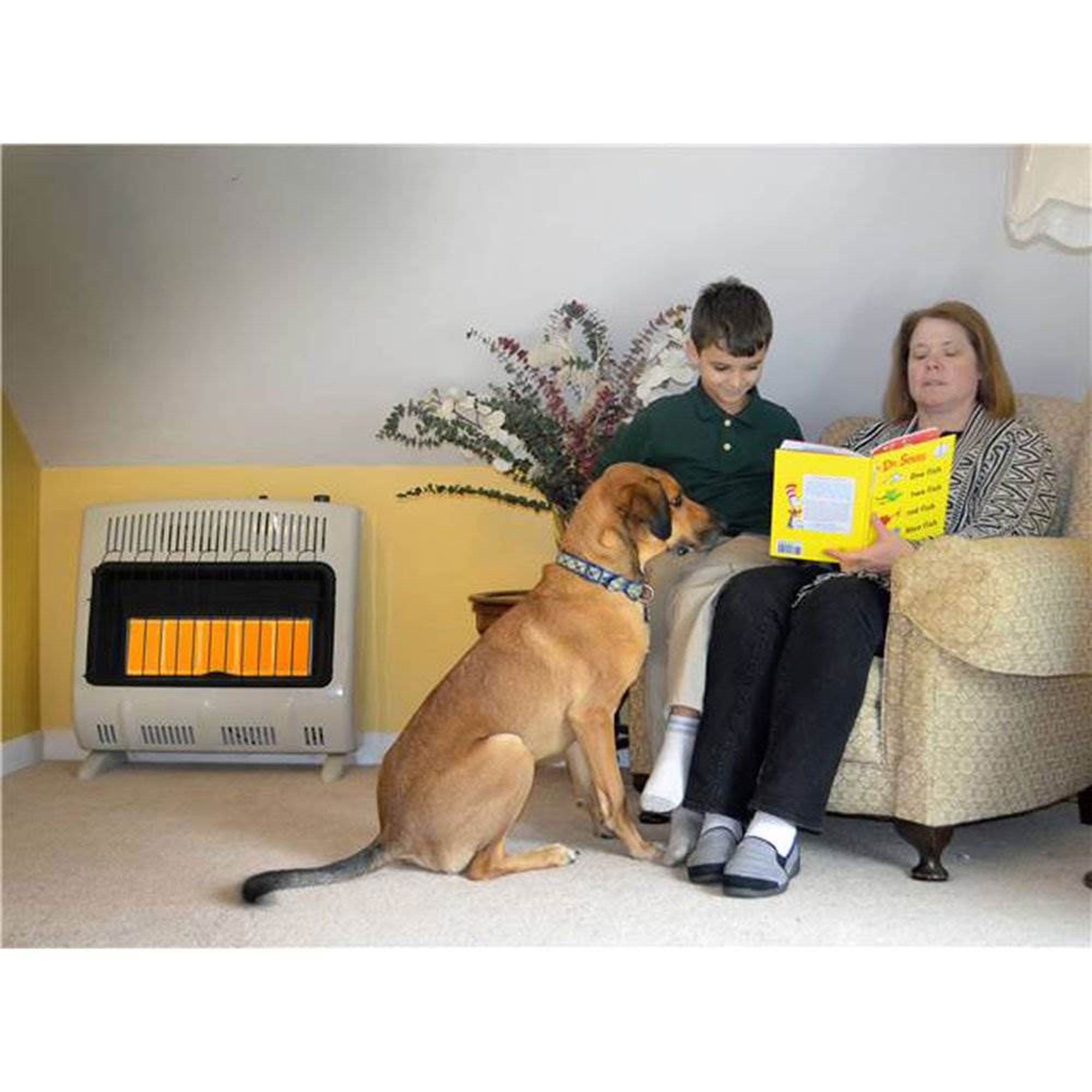 30,000 BTU Radiant 20LB Propane Indoor/Outdoor Space Heater (Open Box) - VMInnovations