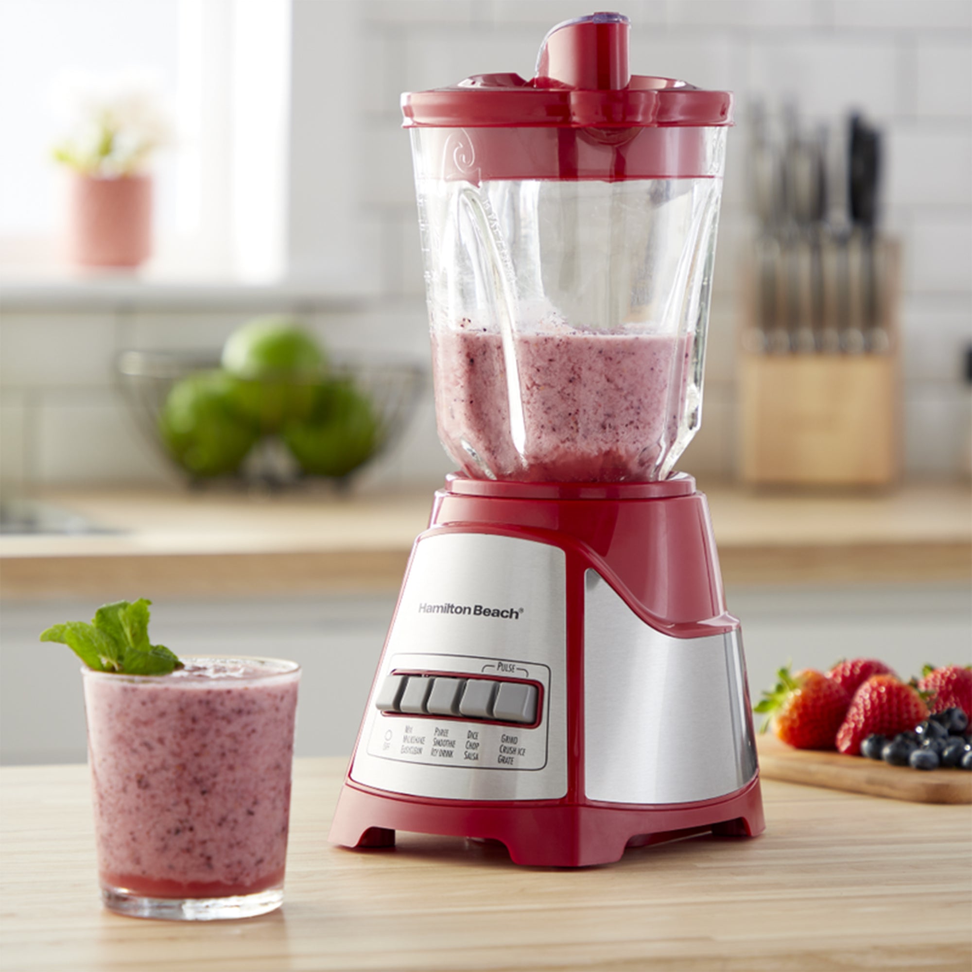 Hamilton Beach Ensemble Multi Function Wave Action Blender with Ice Sabre Blades