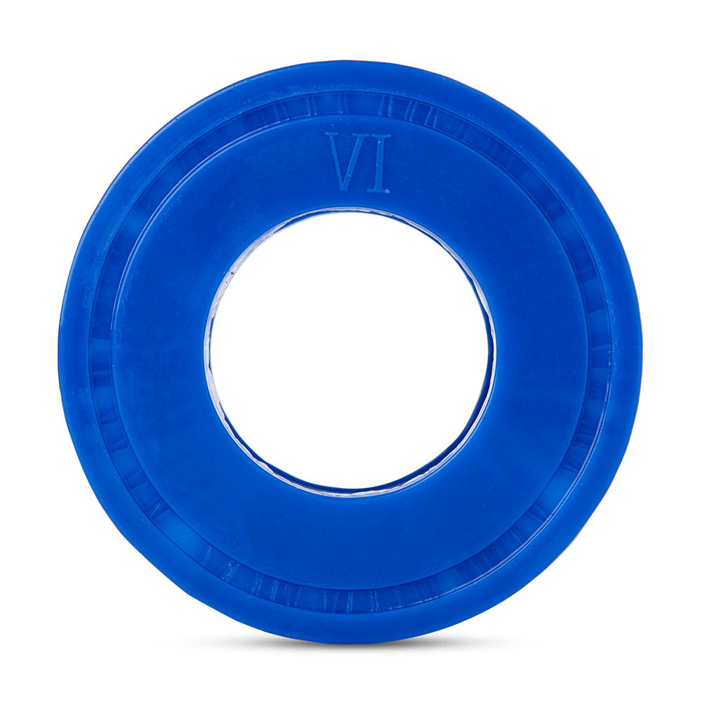 Coleman SaluSpa Pool Filter Type VI Replacement Cartridge w/ Balancing Chemicals
