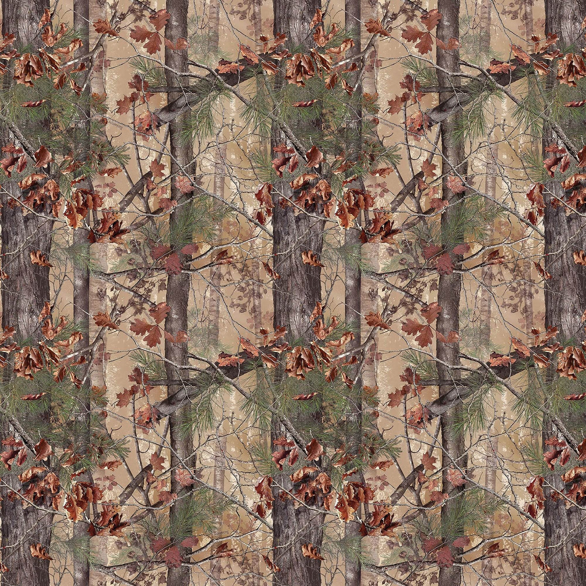 Barronett Blinds Ox 4 Camo Pop Up Ground Deer Hunting Blind (Open Box)