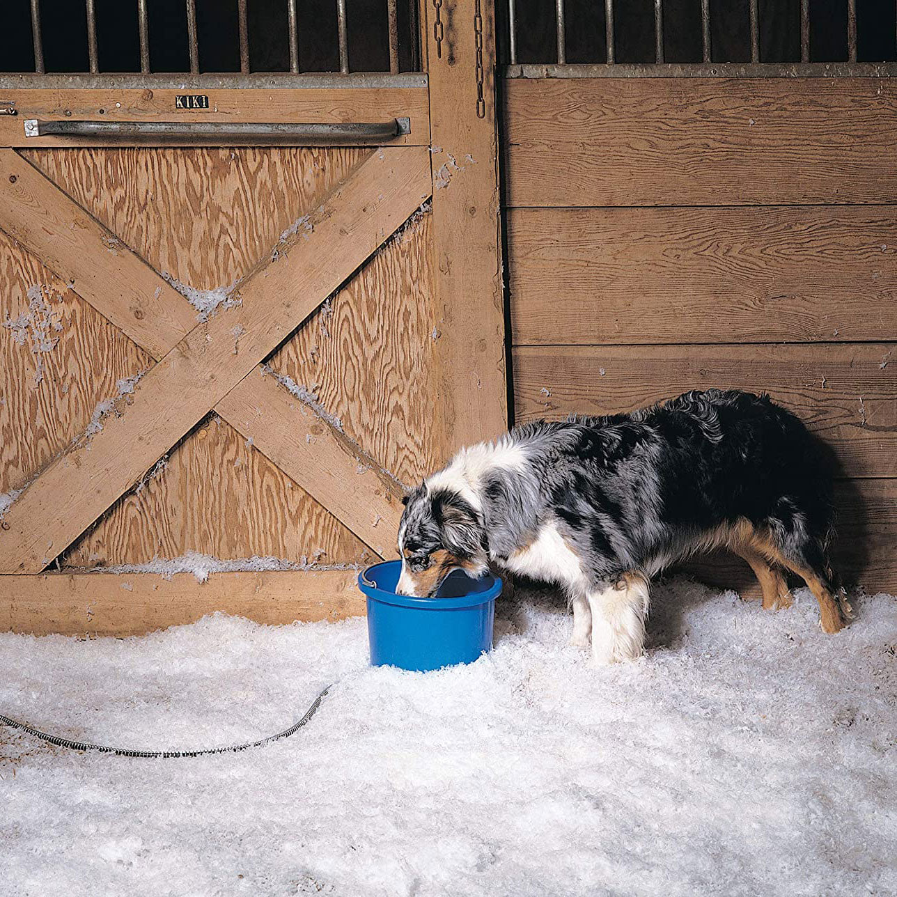 MIller Manufacturing Company 9 qt Round Heated Bucket, Anti-Chew Cord (6 Pack) - VMInnovations