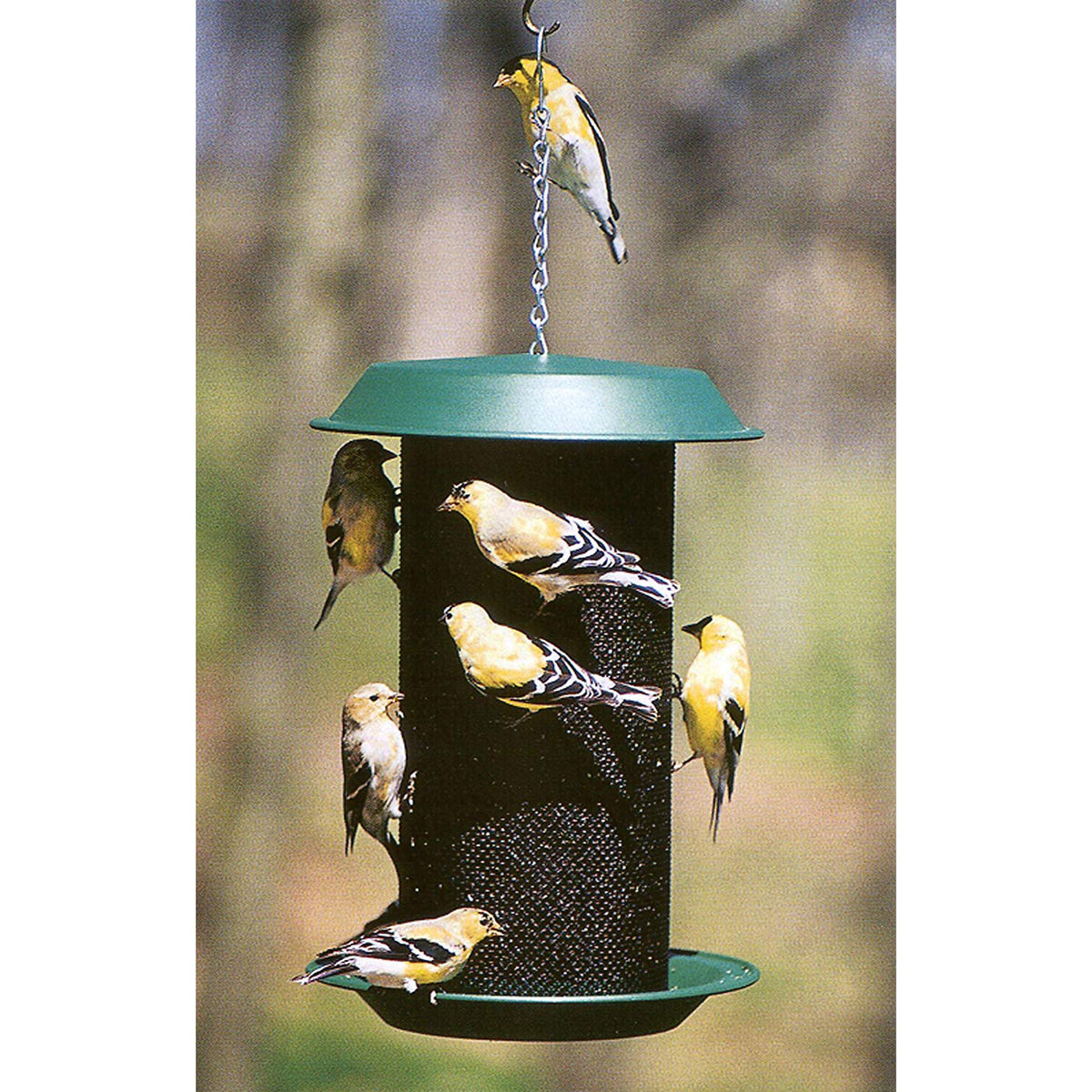 Woodlink Magnum 4-Qt Nyjer Thistle Seed Hang Screen Bird Feeder, Green (2 Pack)