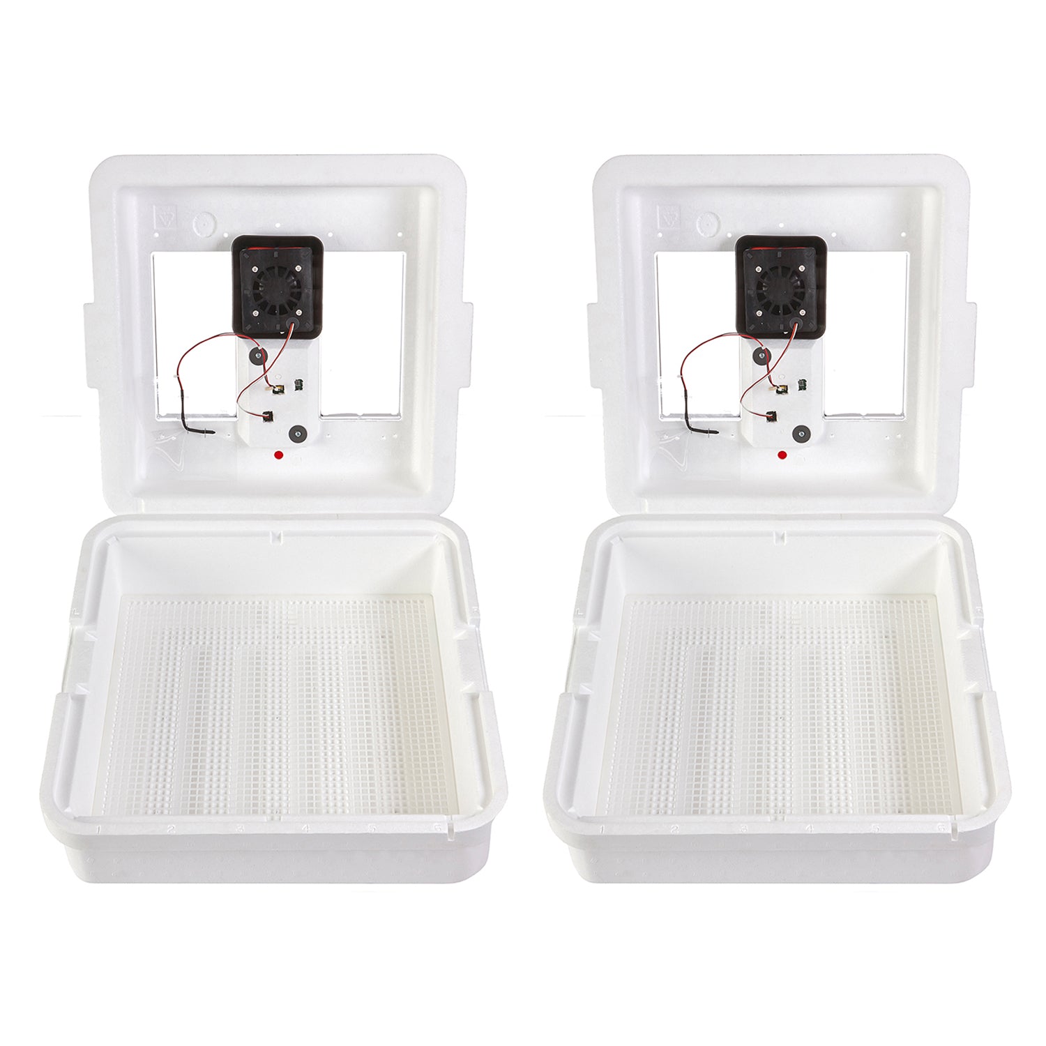 Little Giant 9300 Digital Still Air Incubator w/ LCD Display, 41 Eggs (2 Pack) - VMInnovations