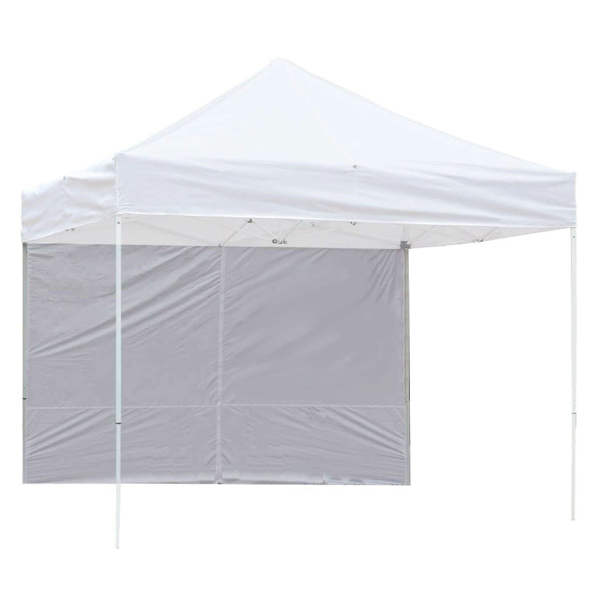 Z-Shade 10' x 10' Peak Canopy Instant Shade Tent Portable Shelter with Sidewall