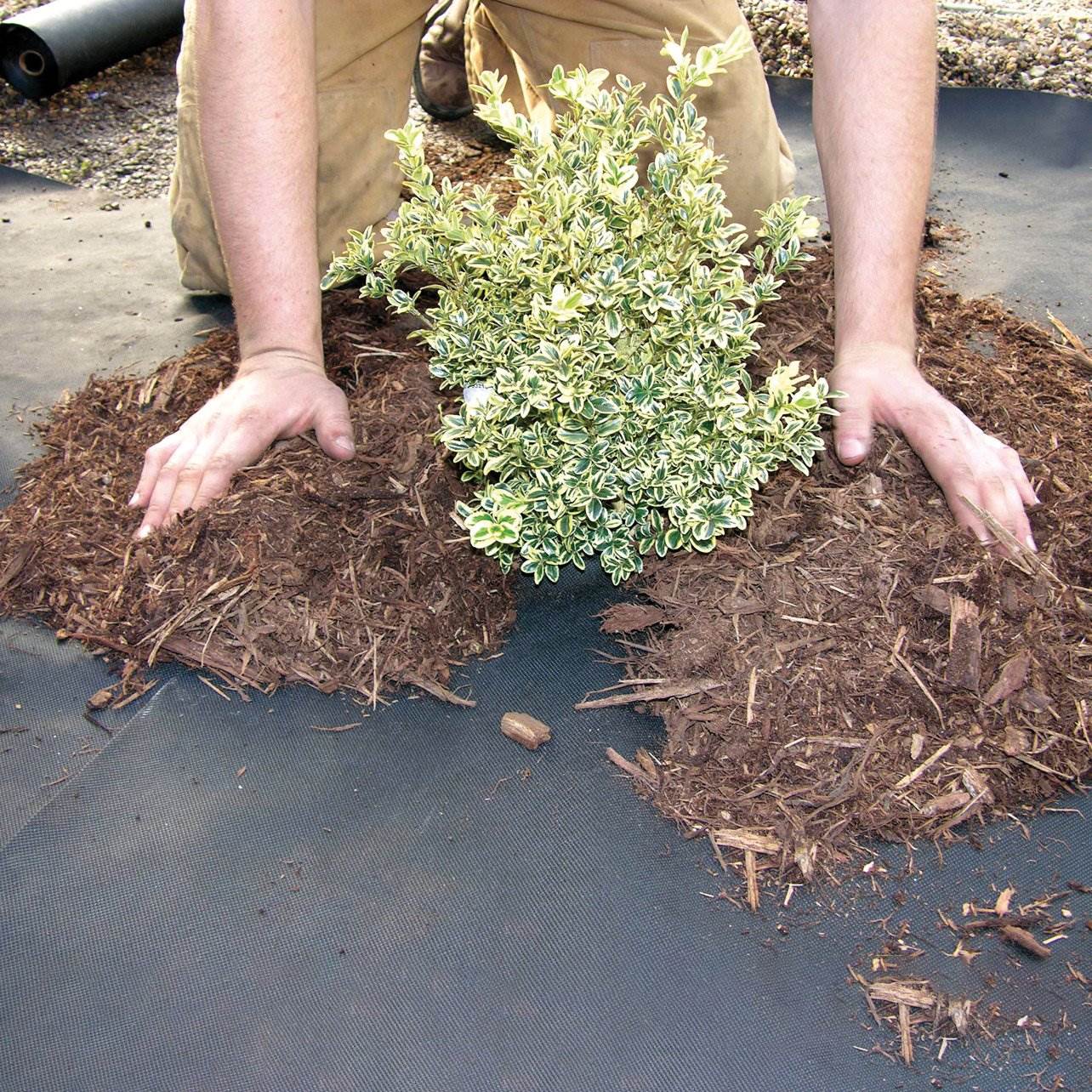 DeWitt Weed Barrier Pro 3 Ounce Landscape Fabric in Black, 4' x 100' (2 Pack) - VMInnovations