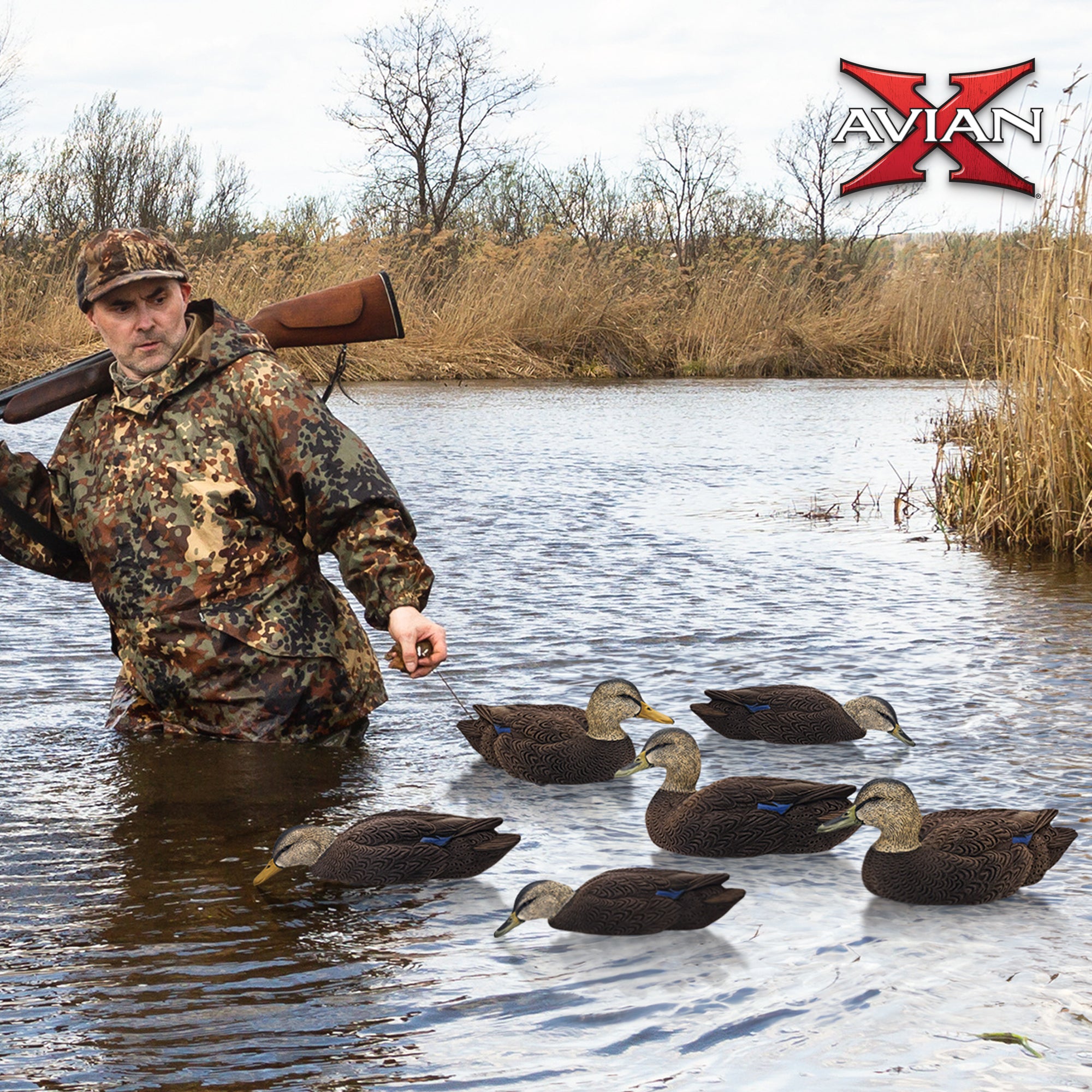 Avian X Topflight Black Ducks Realistic Decoy Sets with Flocked Bodies, 12 Pack - VMInnovations