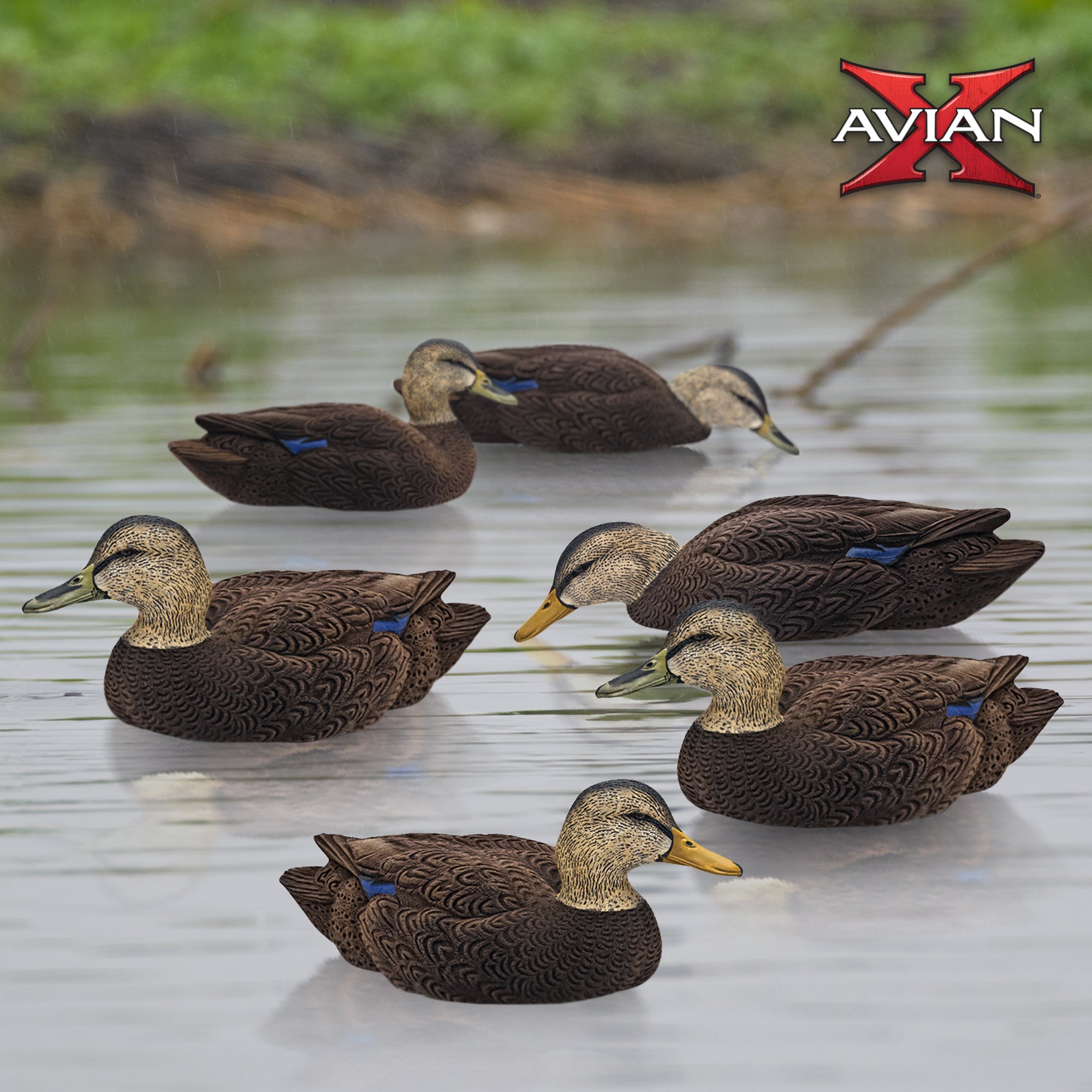 Avian X Topflight Black Ducks Realistic Decoy Sets with Flocked Bodies, 12 Pack - VMInnovations