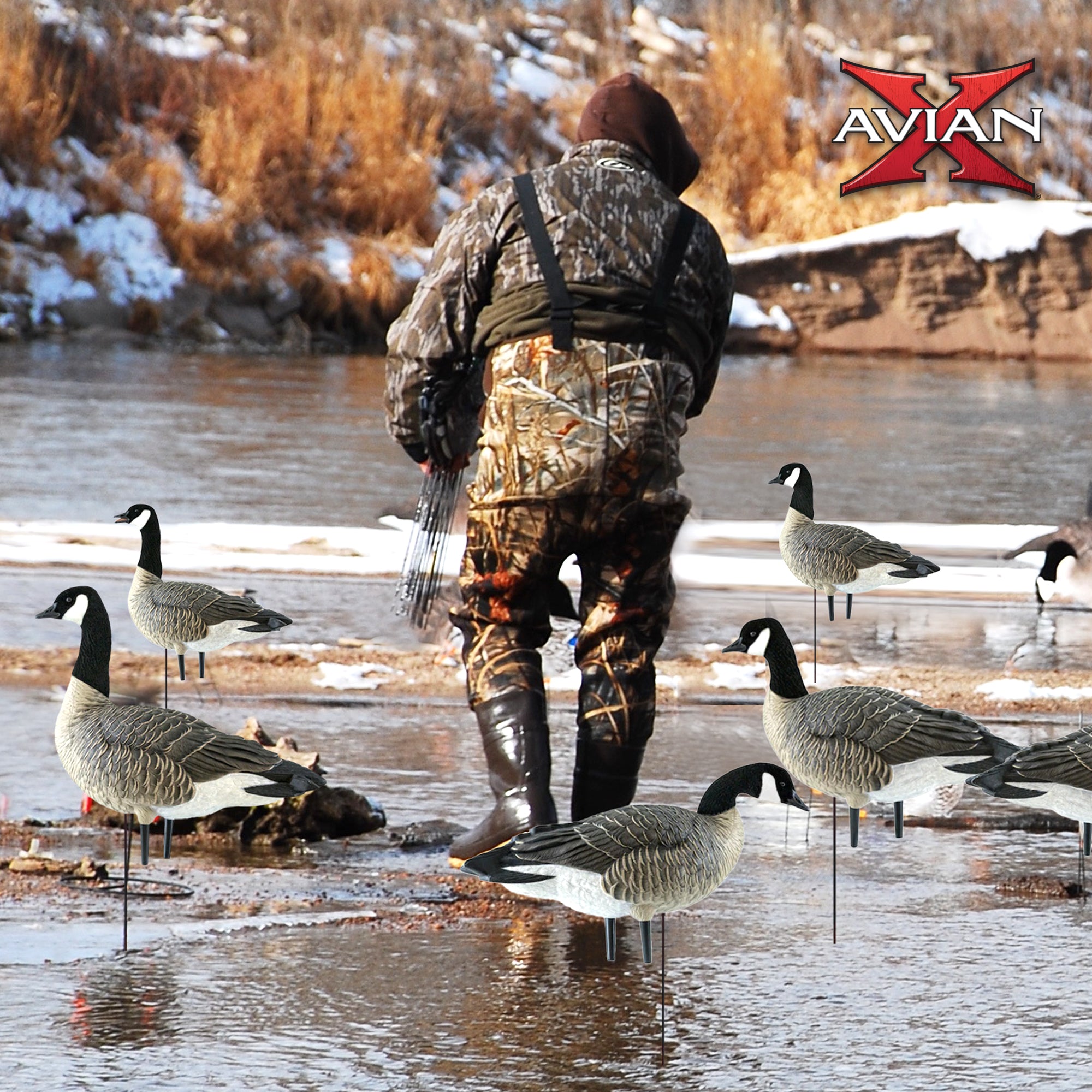 Avian X AXP Honkers Fusion Pack Goose Decoy with 6 Piece Fusion Pack for Hunting