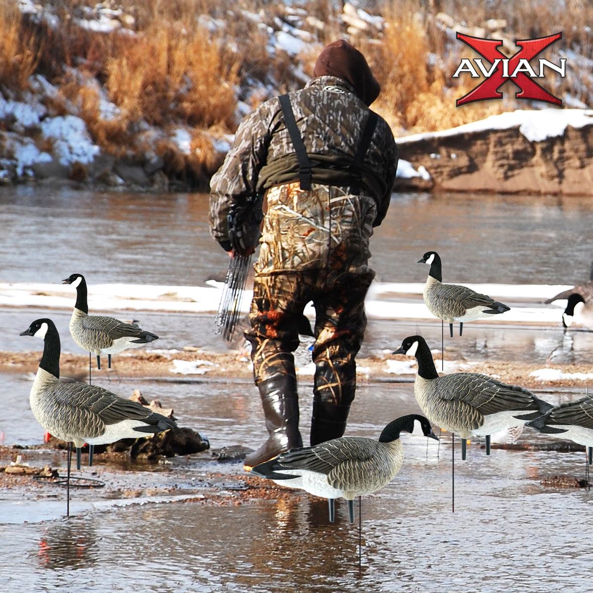Avian X AXP Honkers Fusion Pack Goose Decoy with 6 Piece Fusion Pack for Hunting