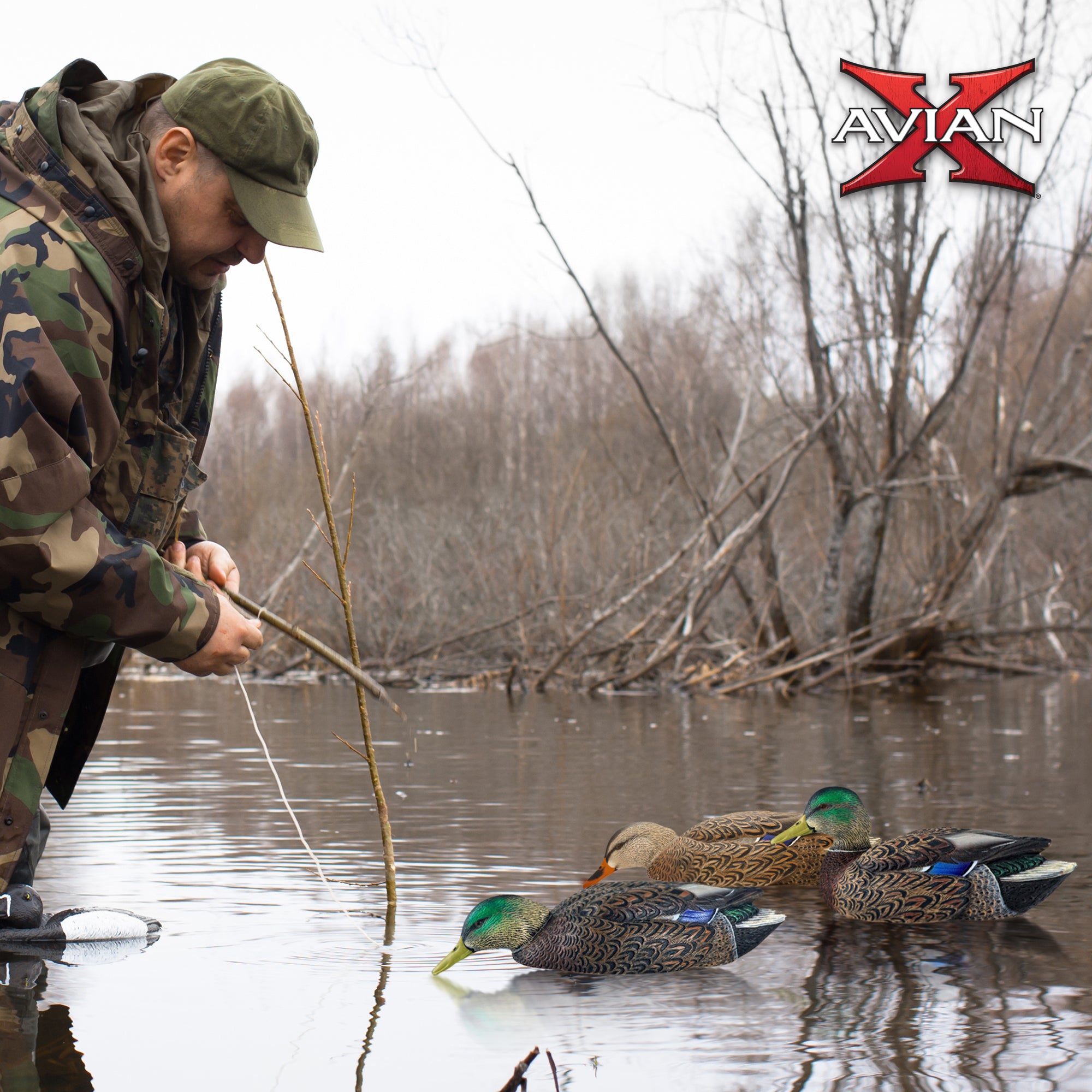 Avian X Early Season Mallard Duck Realistic Decoys, Multicolor, 6pk (Open Box) - VMInnovations