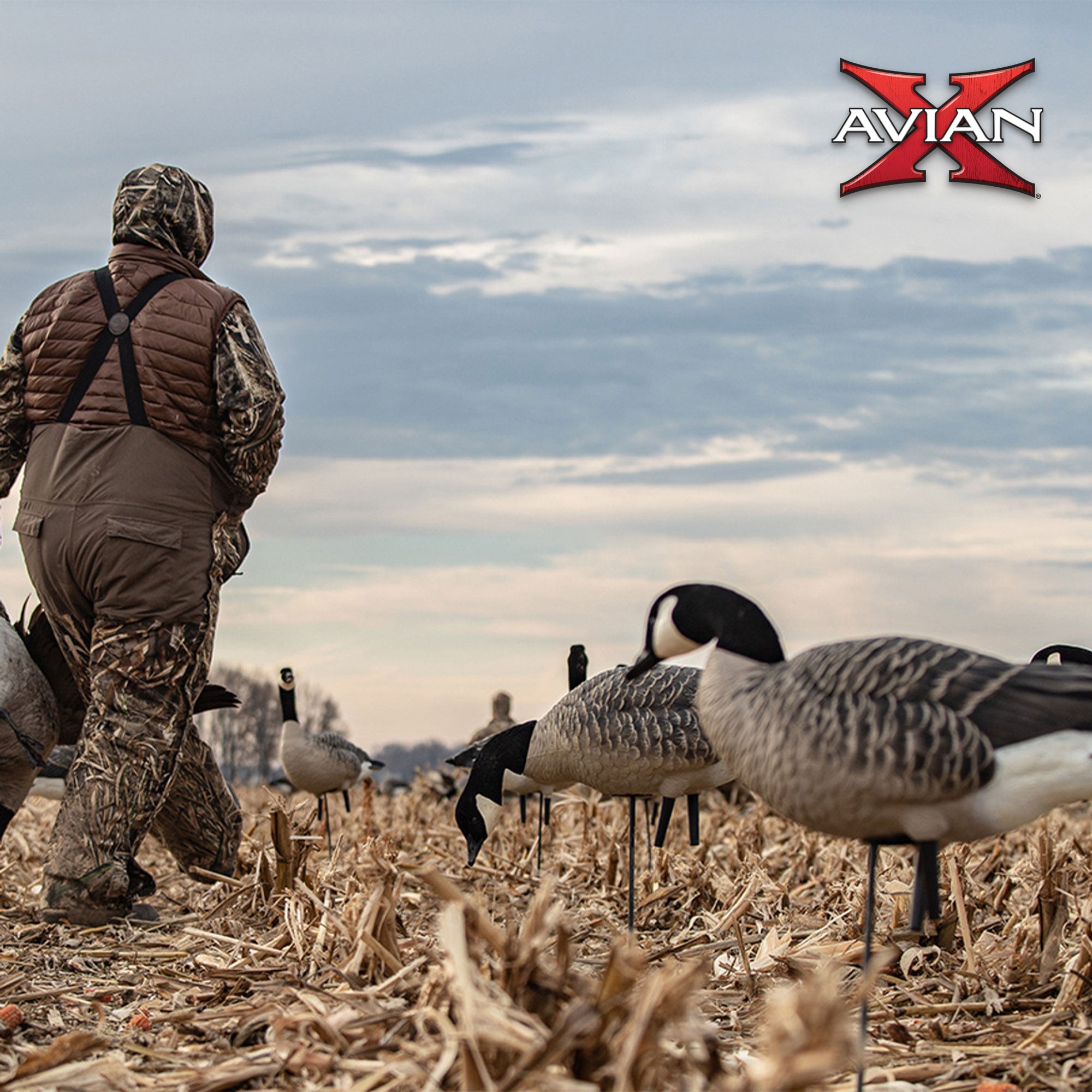 Avian X AXP Honkers Fusion Pack Decoys Bundle w/Topflight Lesser Floating Decoys