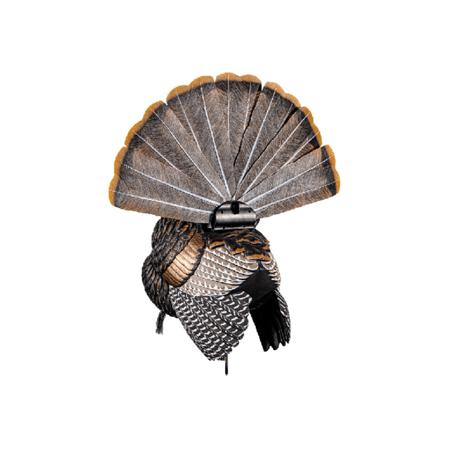 Avian-X AVX8108 HDR Strutter Adjustable Tail Fan Realistic Turkey Hunting Decoy - VMInnovations