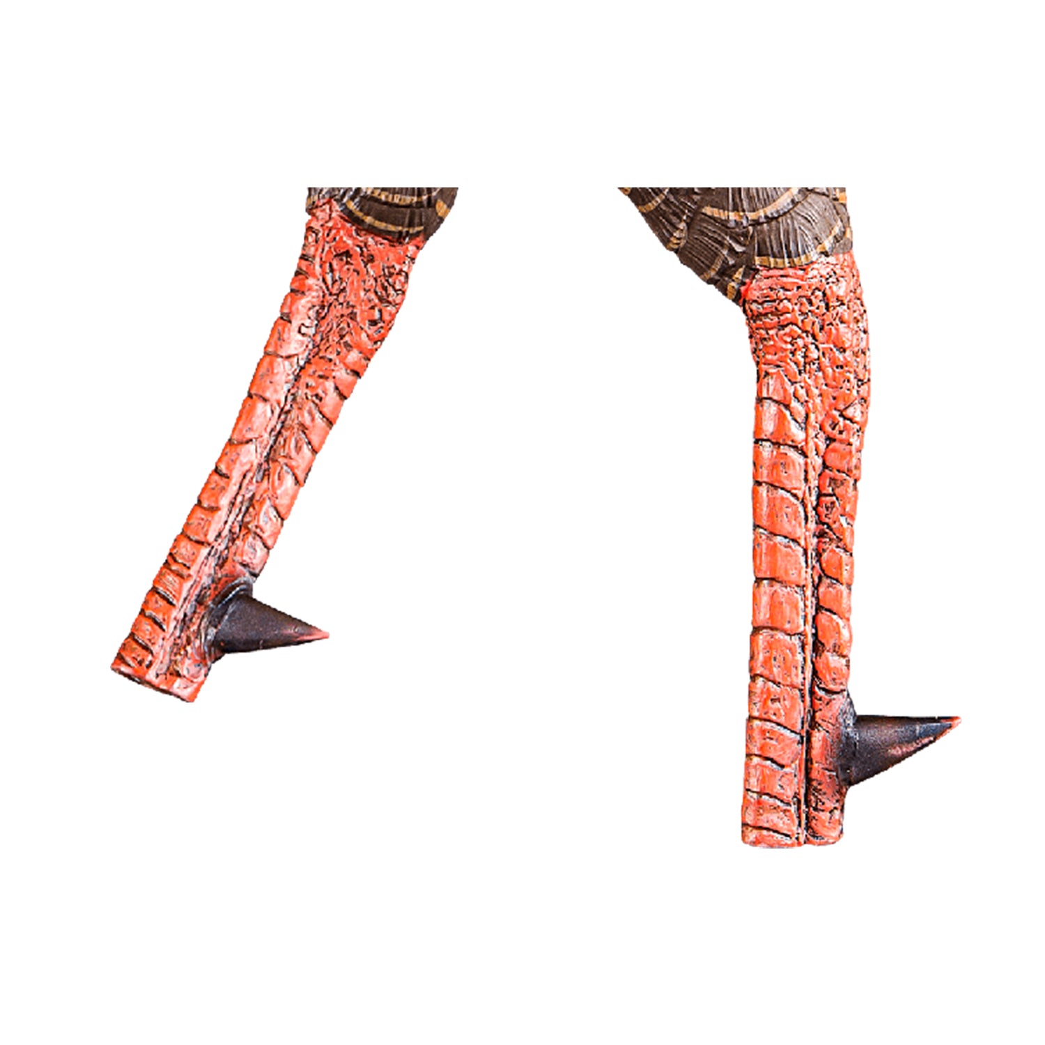 Avian-X AVX8108 HDR Strutter Adjustable Tail Fan Realistic Turkey Hunting Decoy - VMInnovations