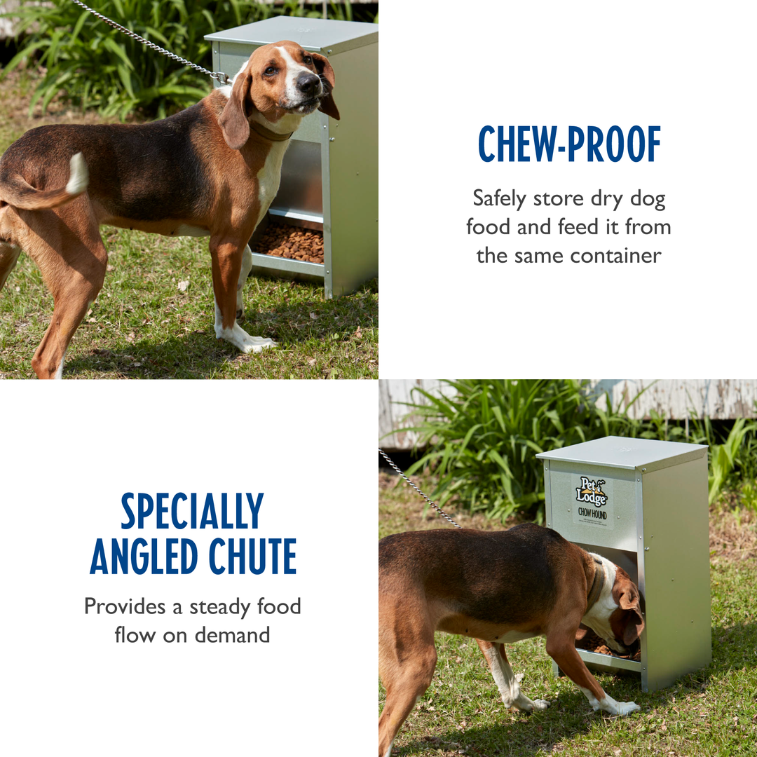 Little Giant Dry Food Automatic Steel Dog Feeder Chow Hound 25 Pound (3 Pack) - VMInnovations