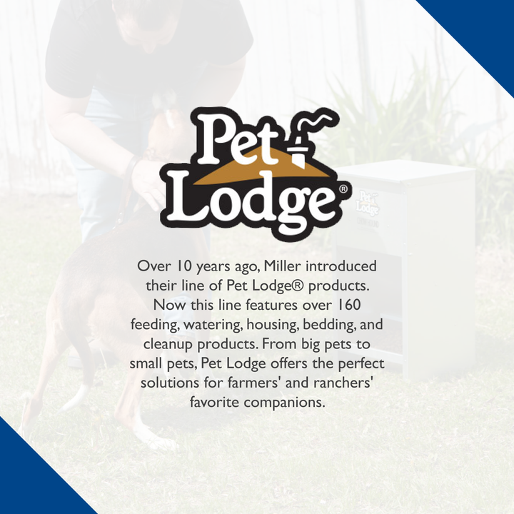 Little Giant Dry Food Automatic Steel Dog Feeder Chow Hound 25 Pound (3 Pack) - VMInnovations