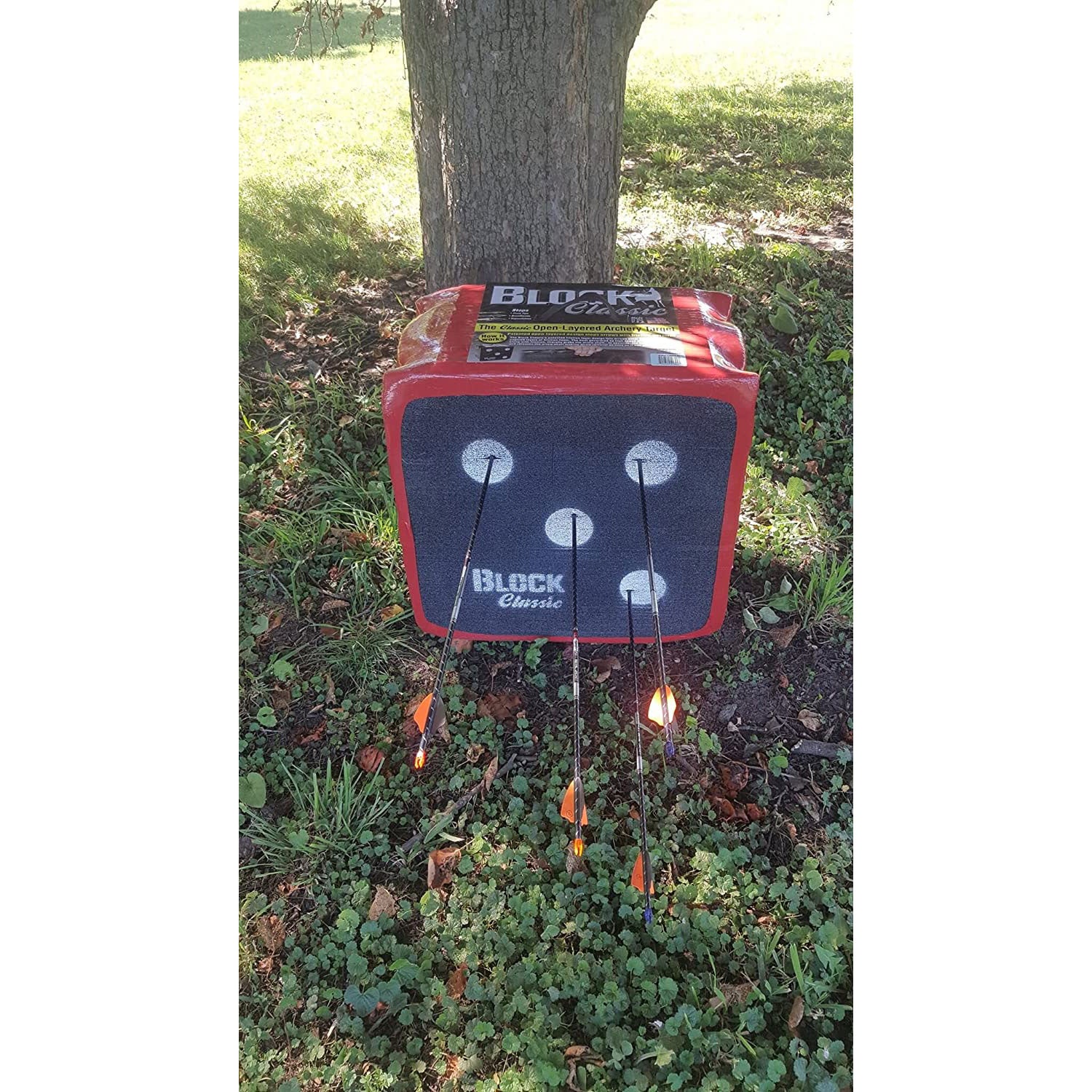 BLOCK 2 Sided Archery Target w/ Open Design & Easy Arrow Removal (Open Box)
