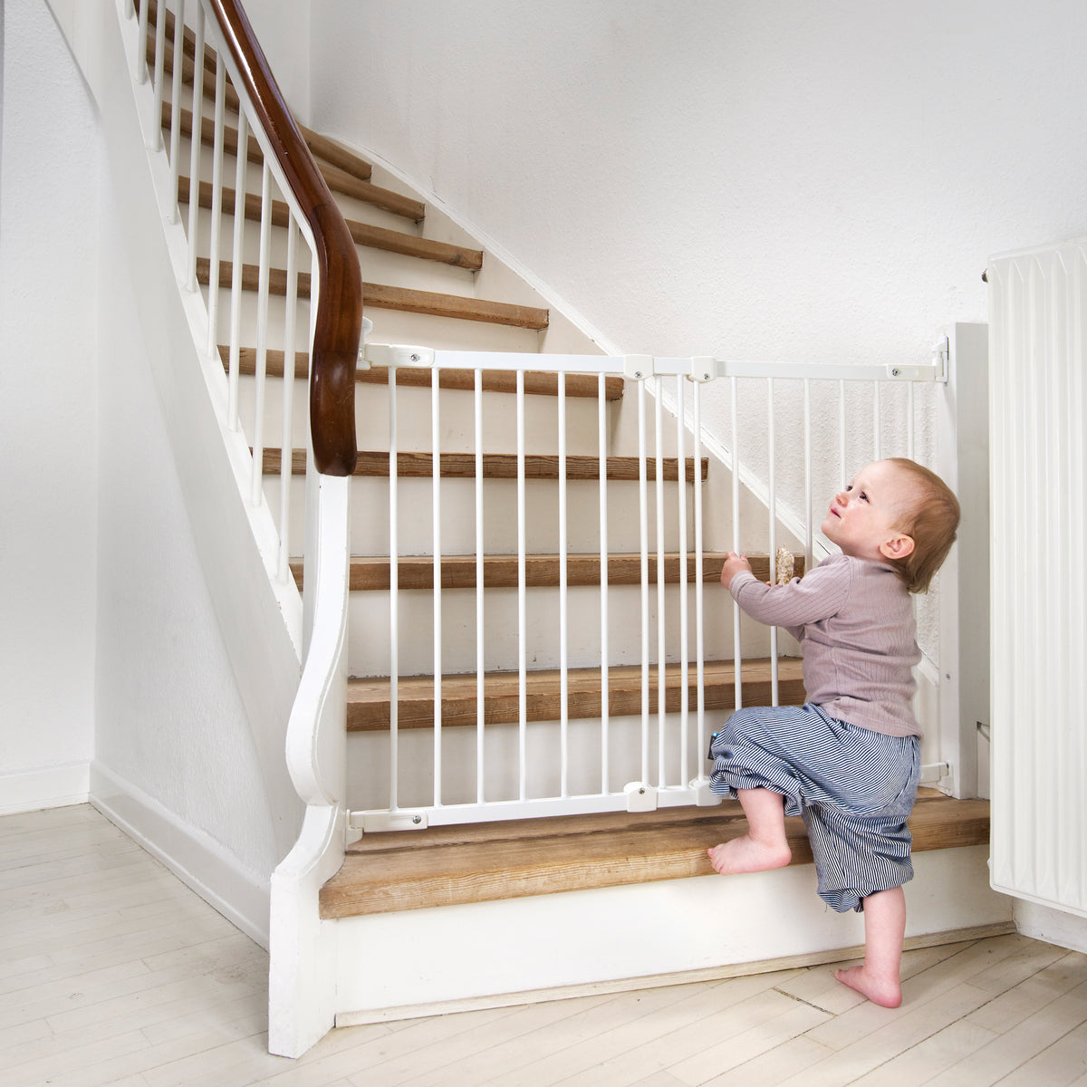 BabyDan FlexiFit Metal Adjustable 42" Wall Mounted Baby Safety Gate (2 Pack)