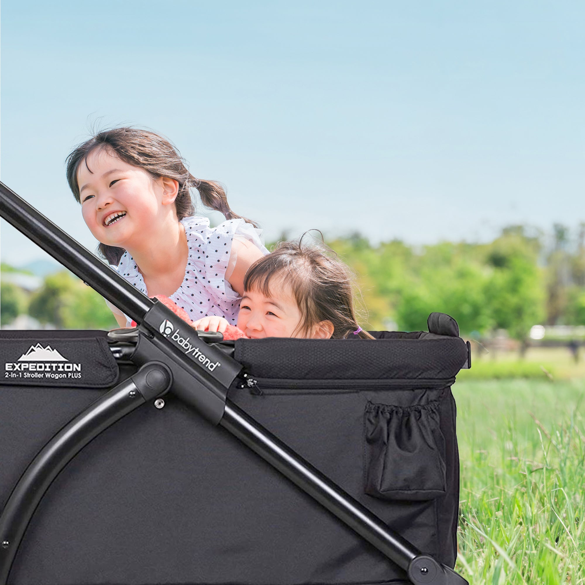 Baby Trend Expedition 2 in 1 Push or Pull Stroller Wagon Plus w/ Canopy, Black - VMInnovations