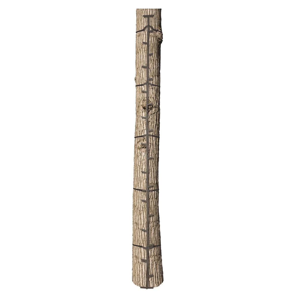 Big Game Hunting Quick Stick Steel Ladder Tree Climbing System, 20 Foot (3 Pack) - VMInnovations