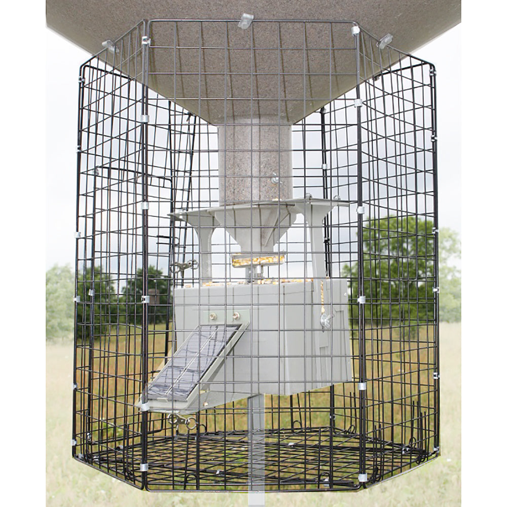 Boss Buck Hunting Large 24"x26" Steel Varmint Cage Feeder Attachment (2 Pack)