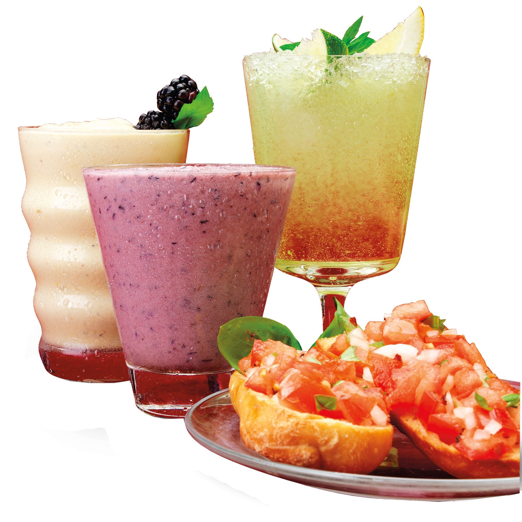 Hamilton Beach Multi Function Wave Action Blender w/ The Blender Bible Cookbook