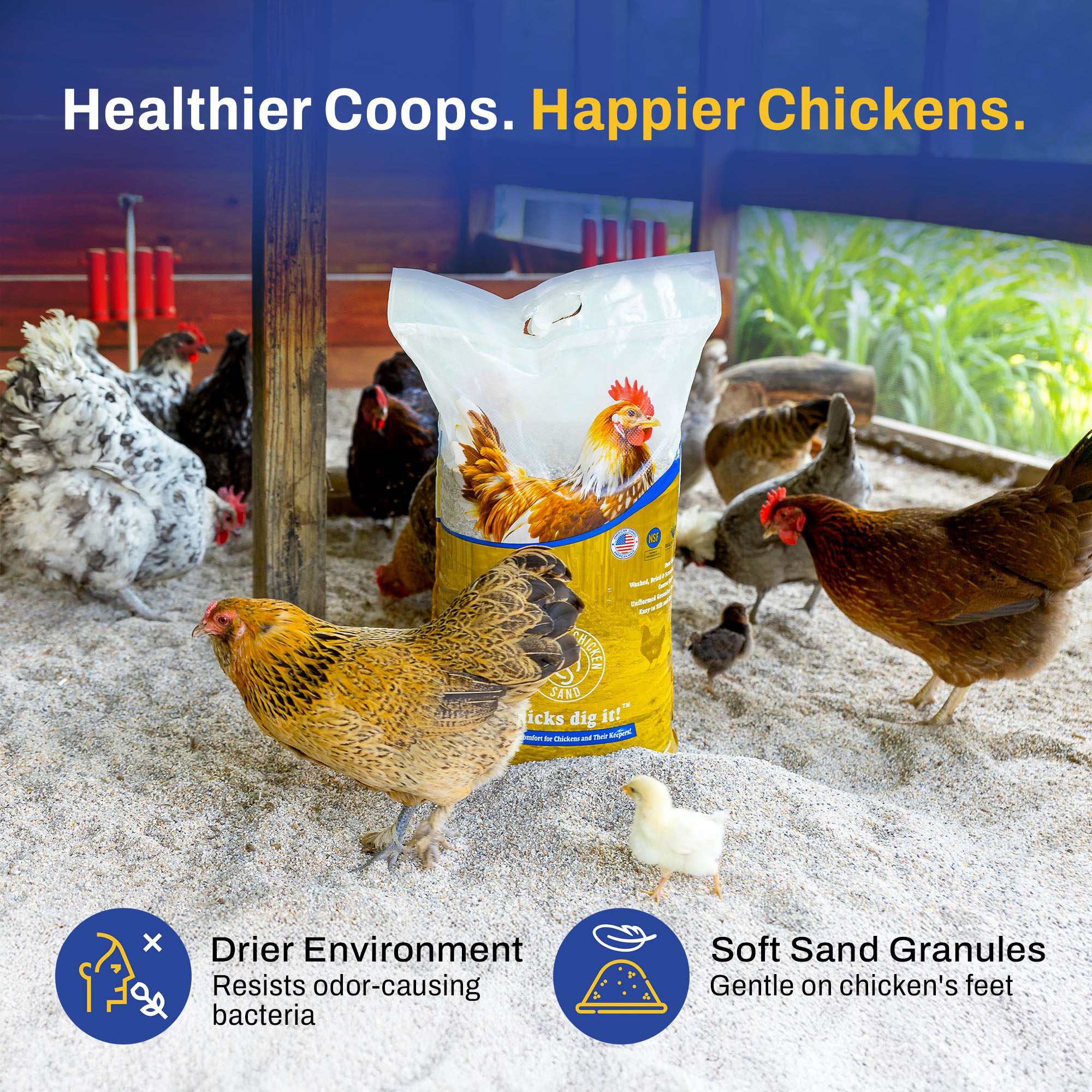 Premium Chicken Sand, Odor Eliminating Bedding for Coops, 50 Lb Bag, 8 Pack