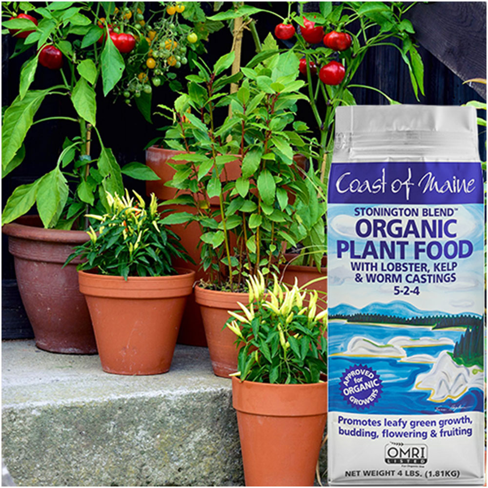 Coast of Maine Organic Stonington Blend Plant Food, 4 Pound Bag (8 Pack) - VMInnovations