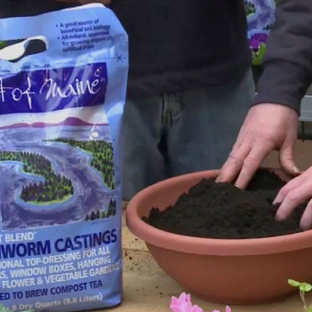 Coast of Maine Wiscasset Blend Earthworm Potting Soil, 8 Quart Bag (8 Pack) - VMInnovations